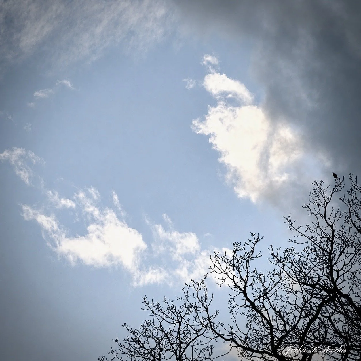 image00003.jpeg