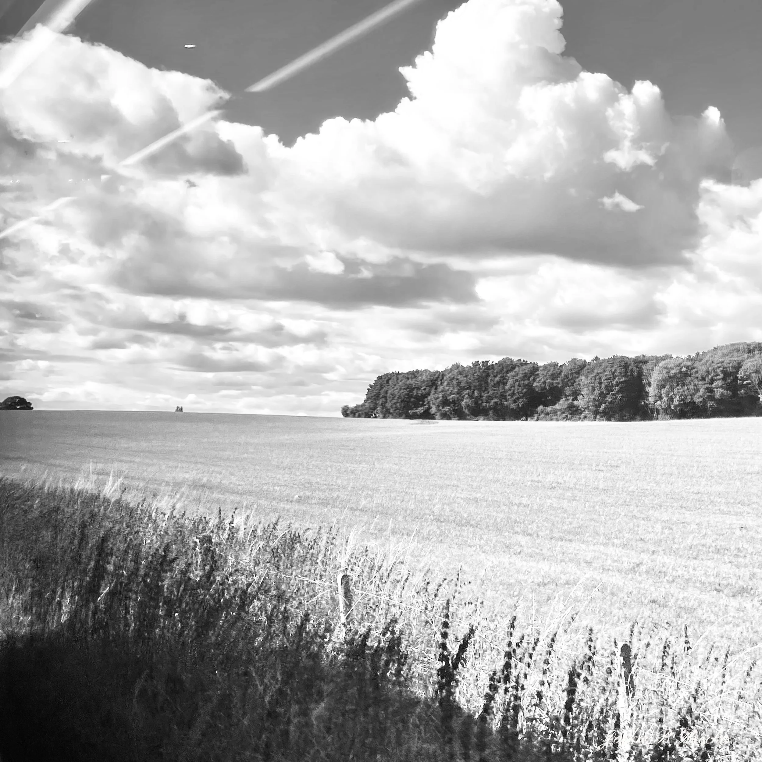 image00047.jpeg