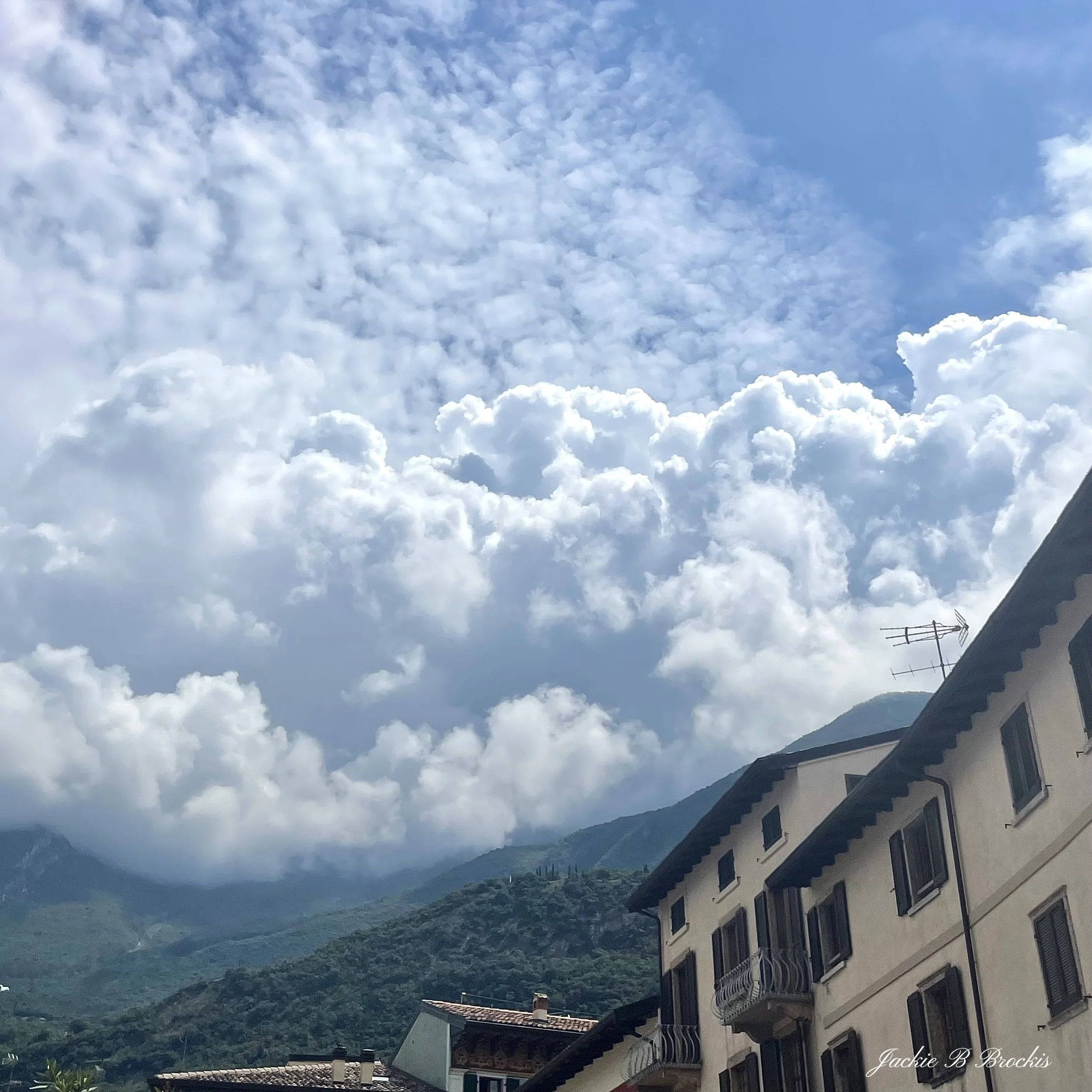 image00033.jpeg