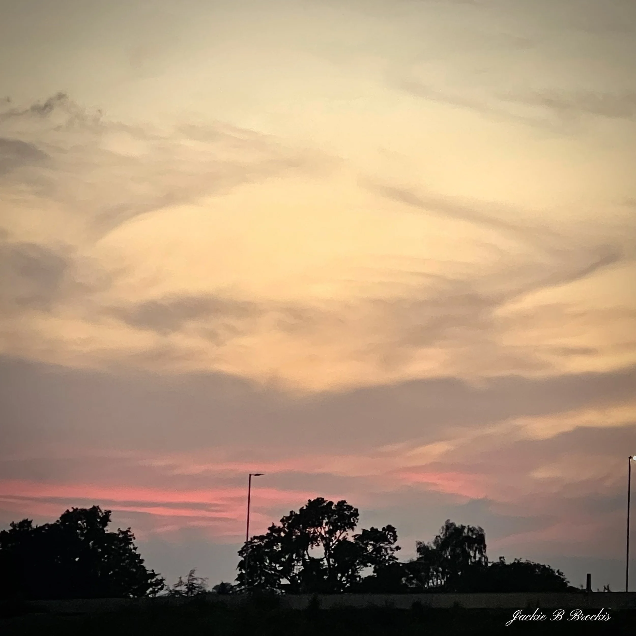 image00031.jpeg