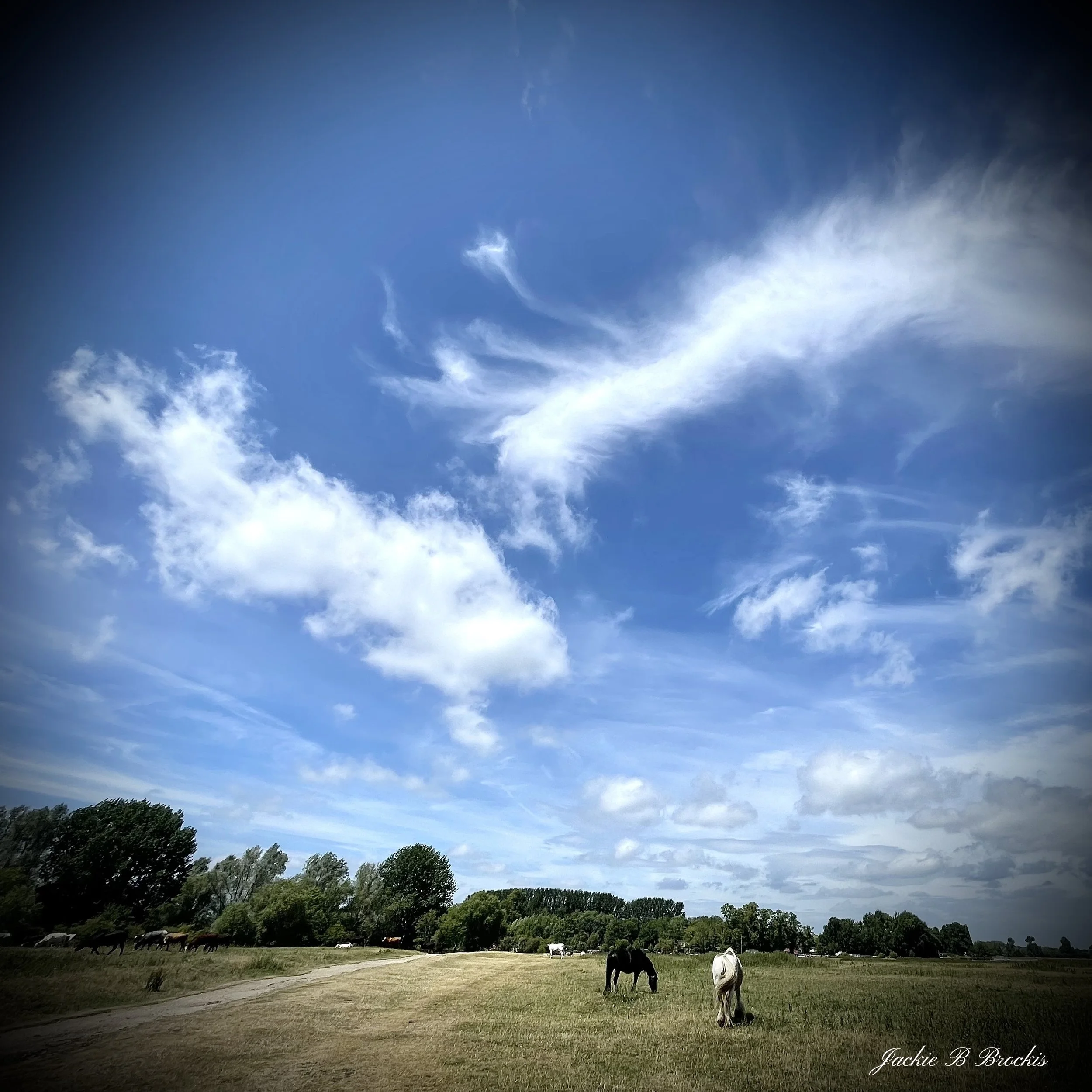 image00002.jpeg