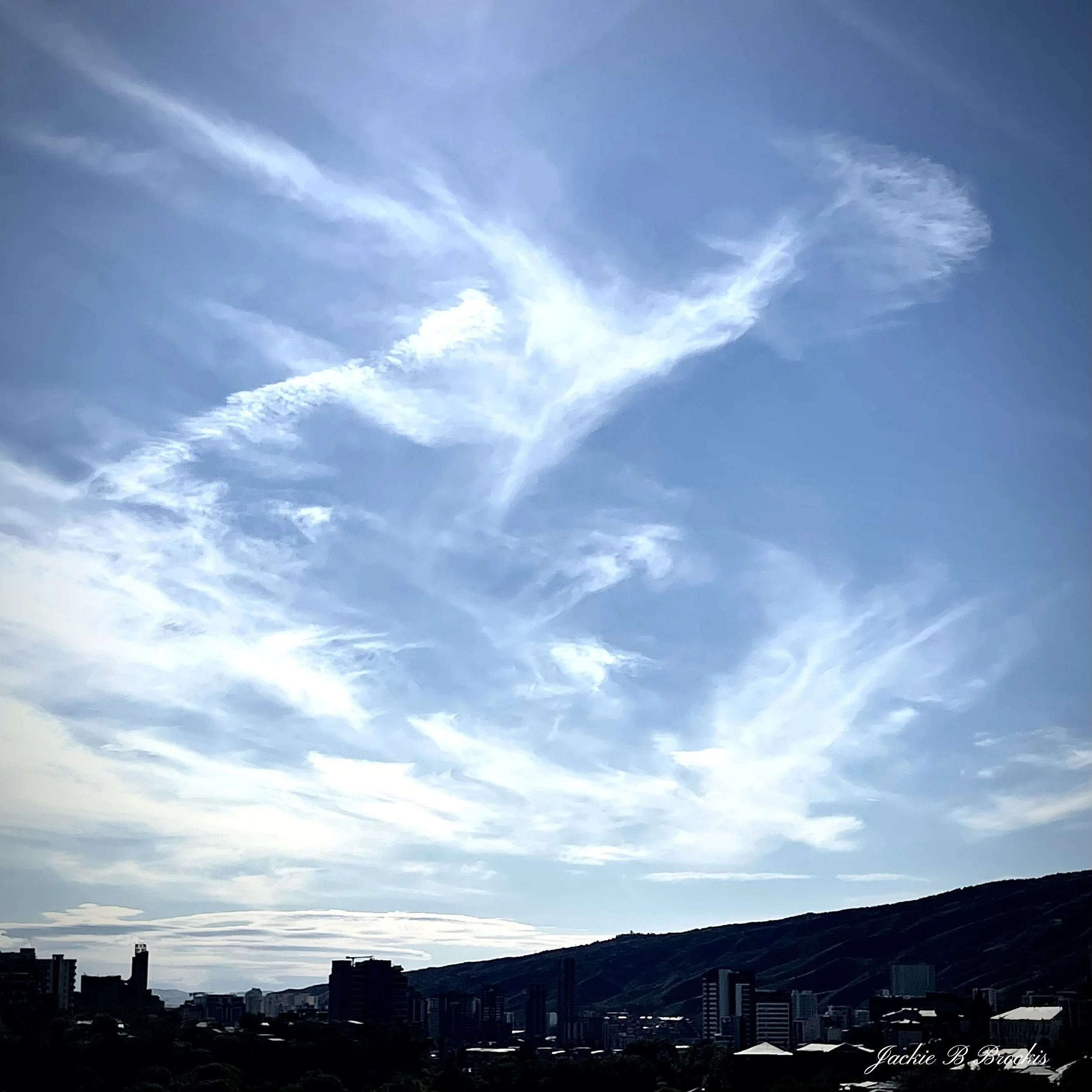 image00008.jpeg