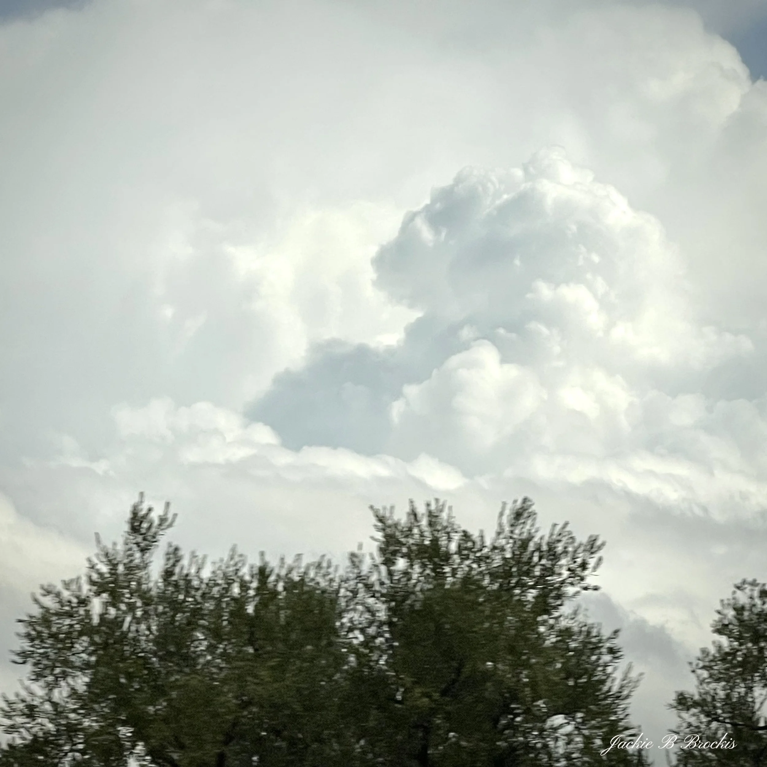 image00007.jpeg
