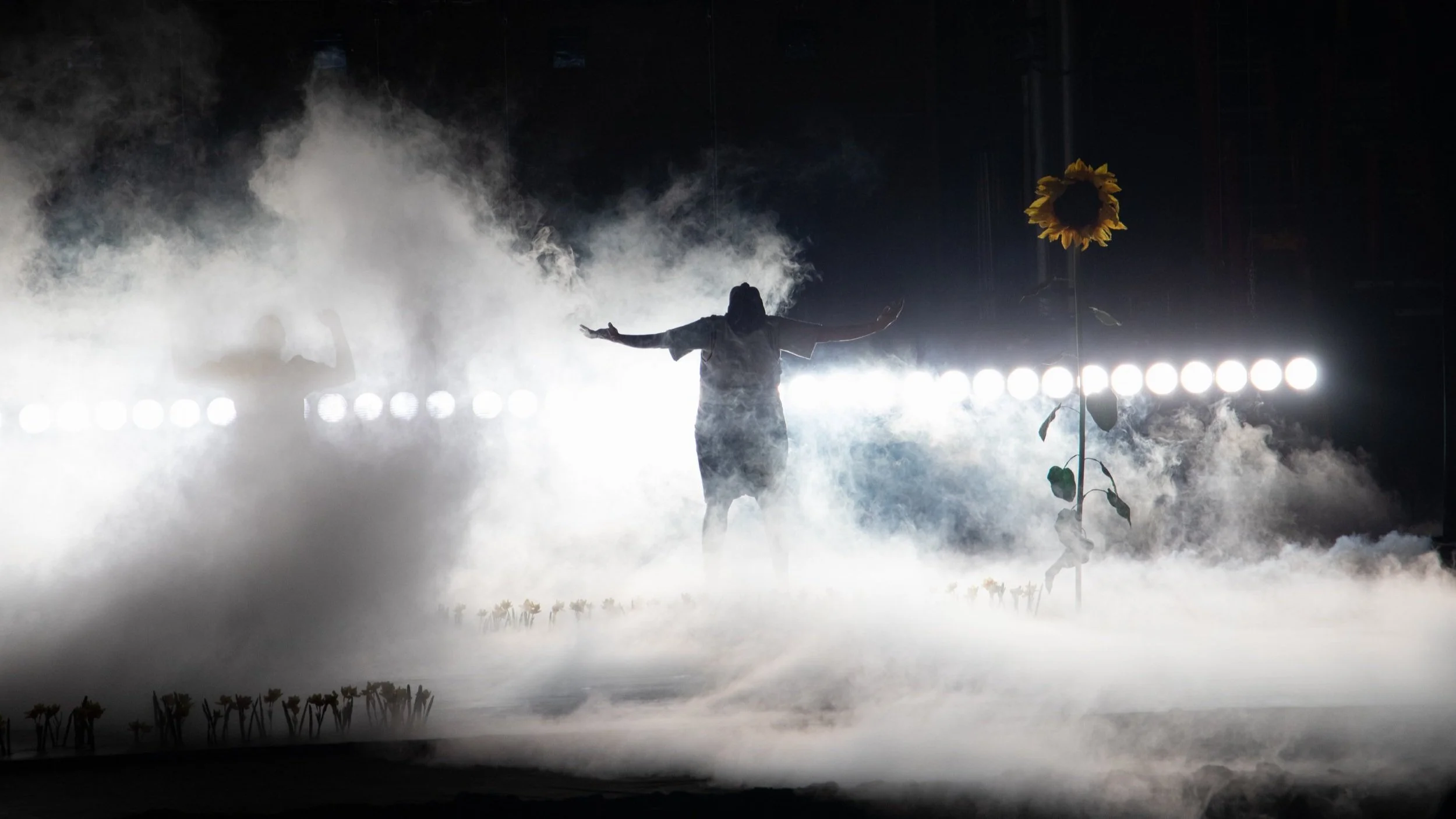 Silhouette of person in foggy setting with dramatic lighting and a tall sunflower.