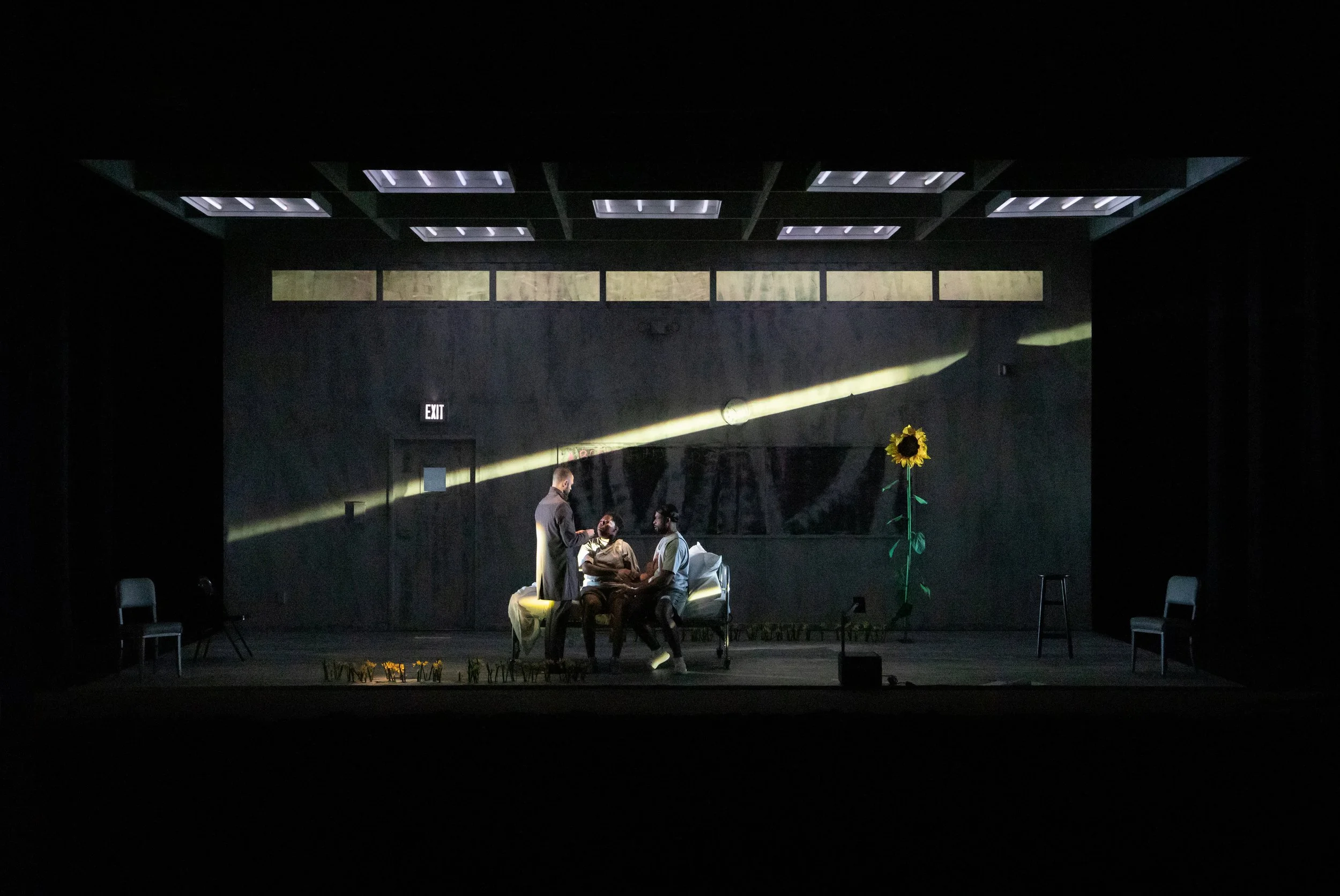 A dimly lit stage with three people seated on a hospital bed and chairs, surrounded by minimal furniture. A large sunflower stands on the right, and there is an "EXIT" sign on the back wall. Overhead lights create a spotlight effect.