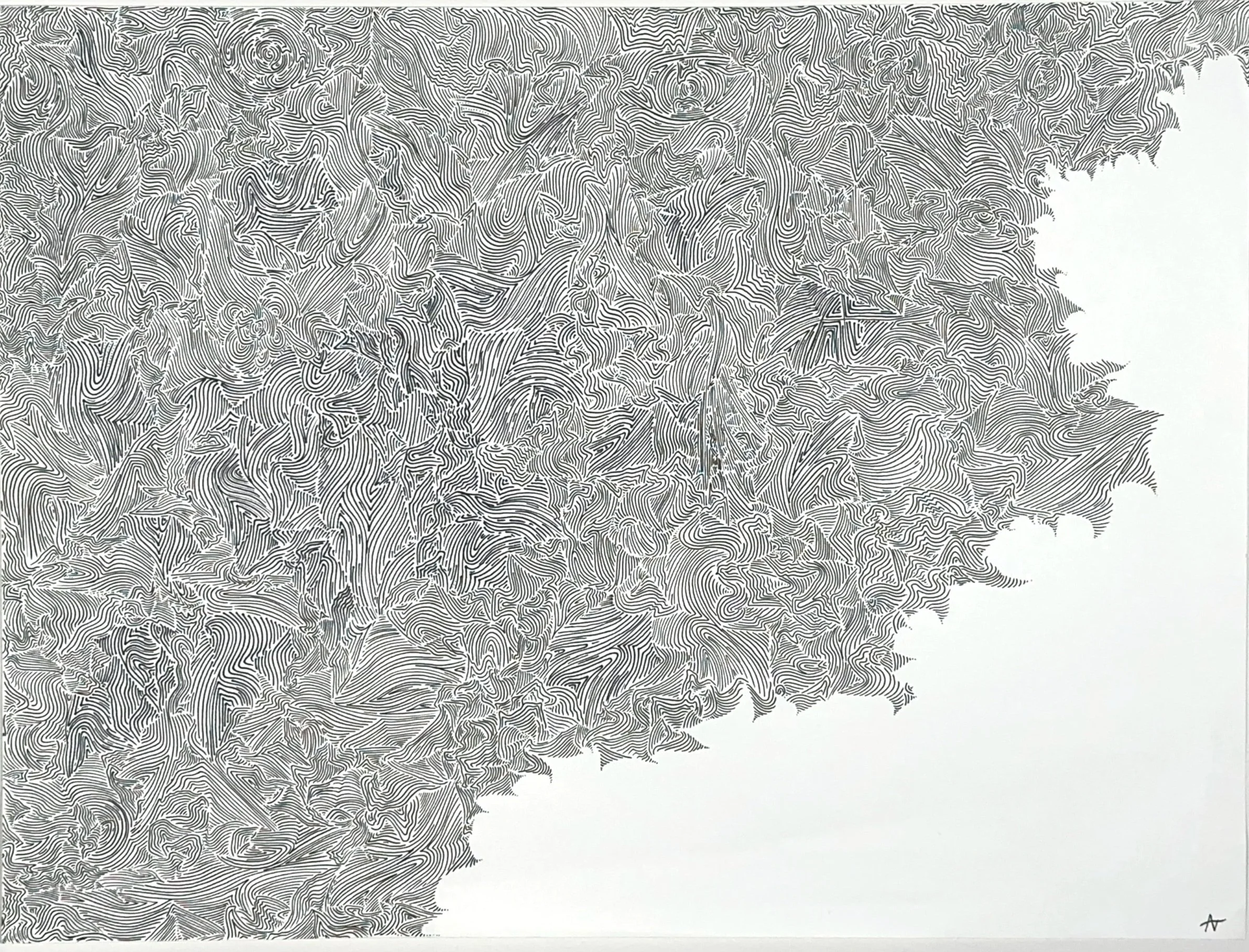 Brain Waves,
2024,
Ink on paper 18 x 24 inches