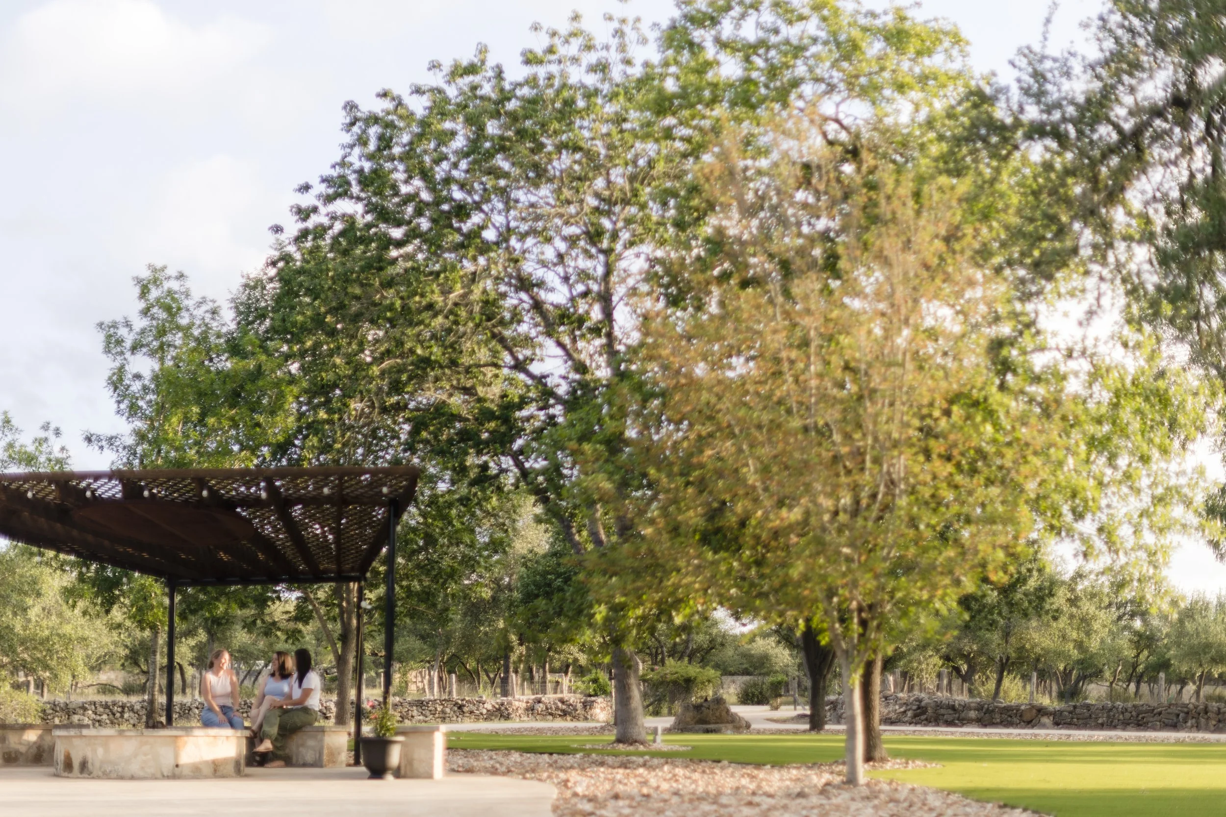 The Great Lawn and Fire Pit
