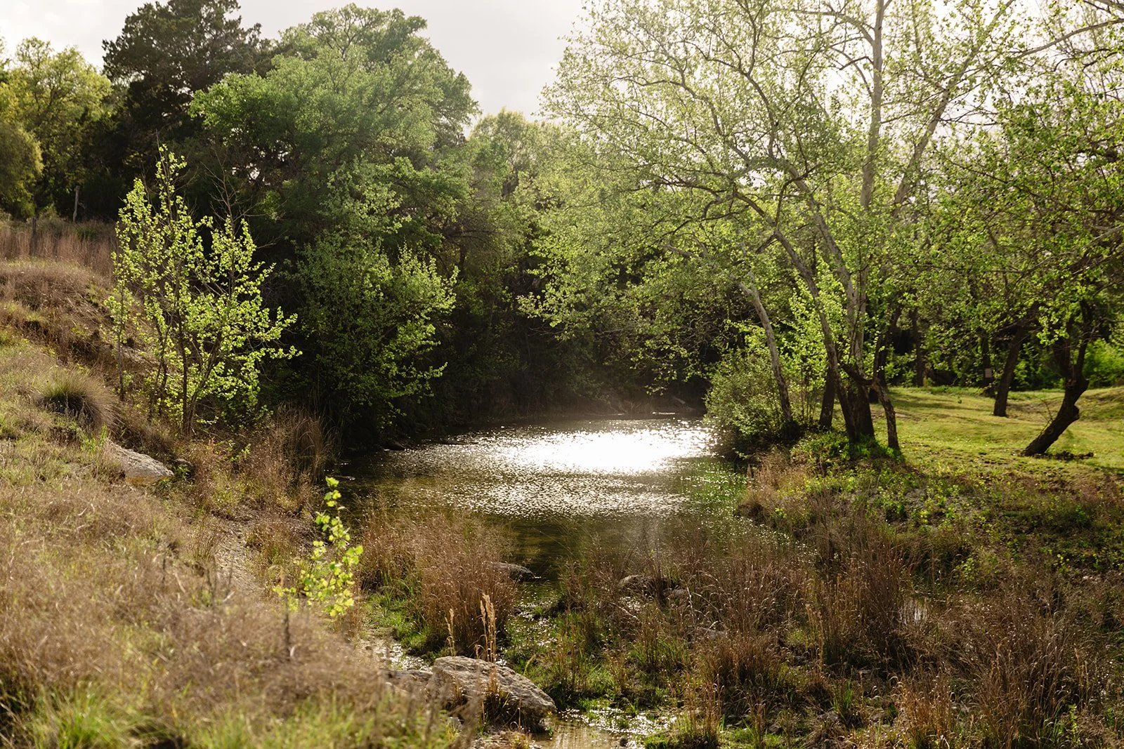 Barton Creek Side