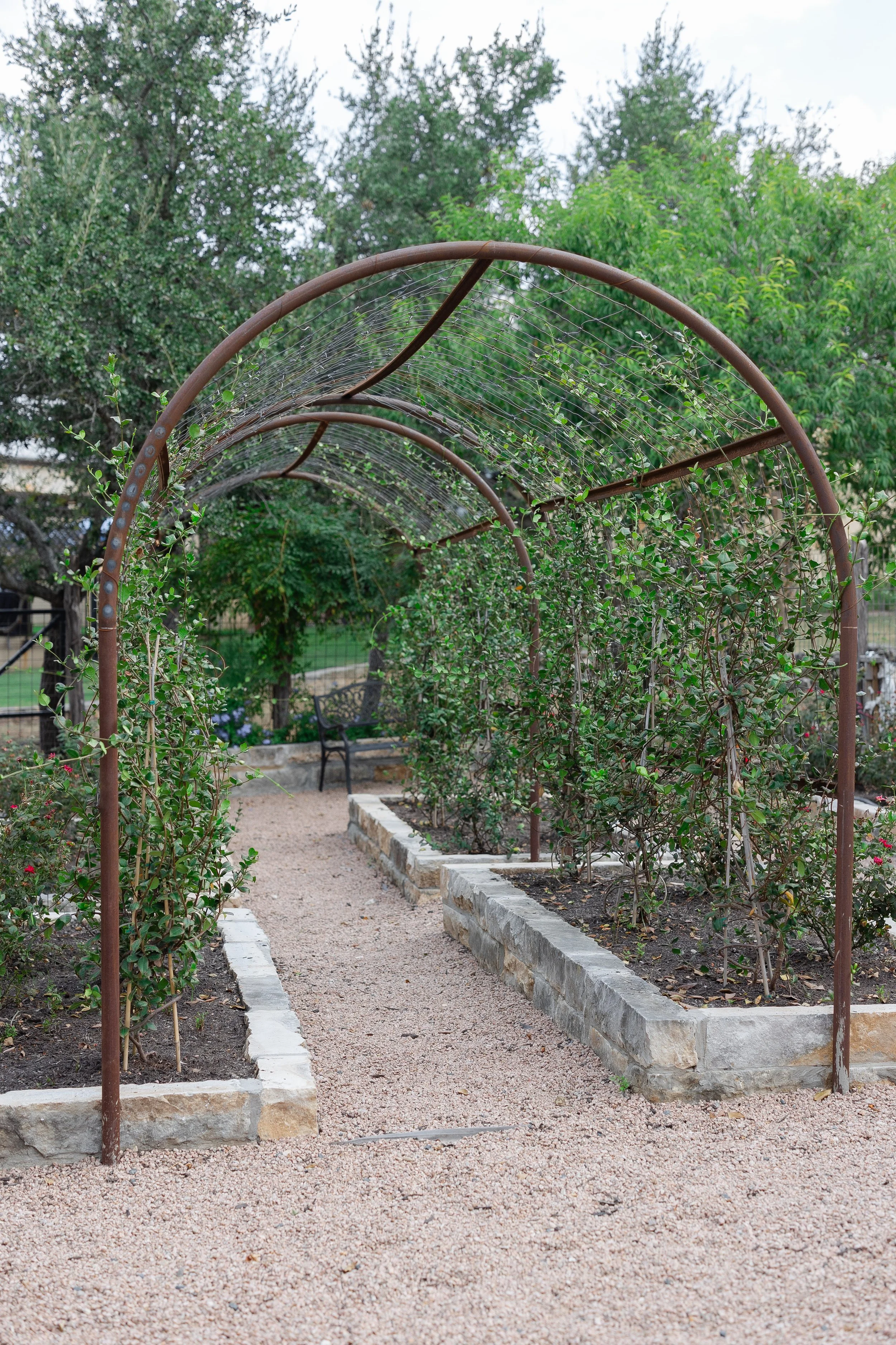 Christy's Garden