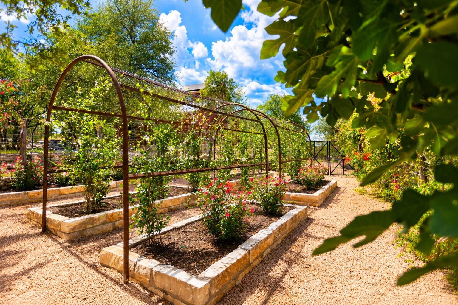 Christy's Garden