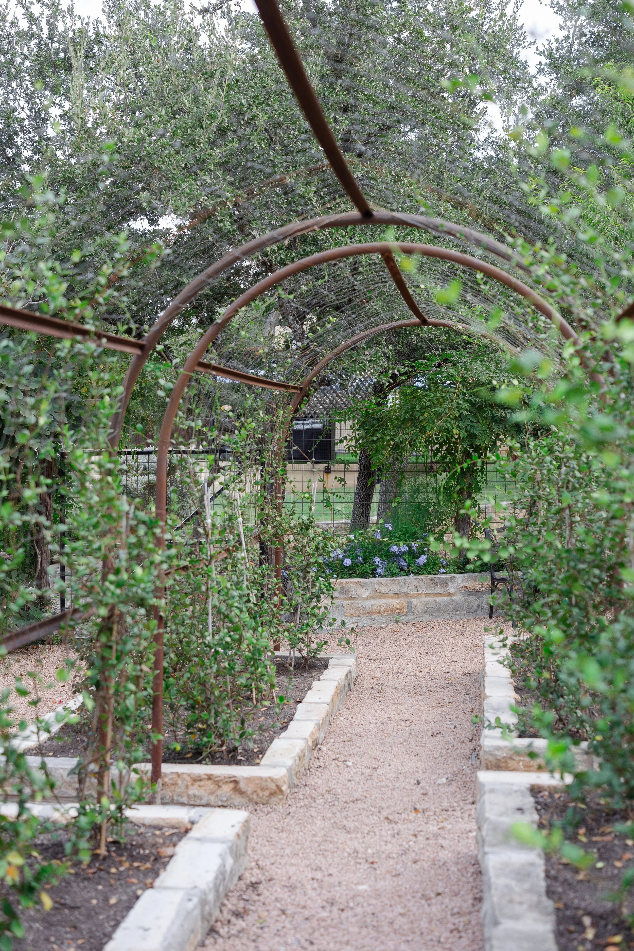 Christy's Garden