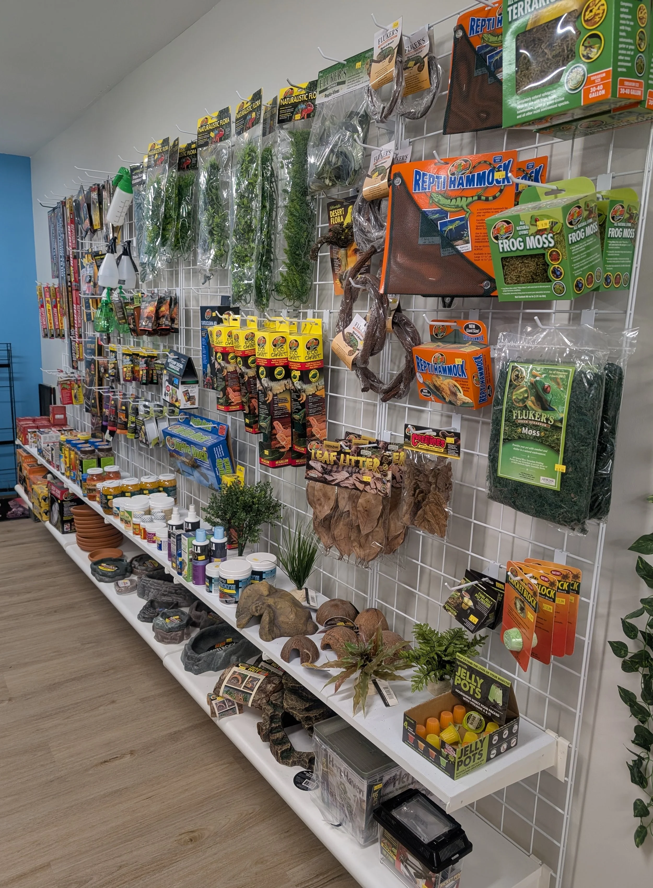 Reptile Lighting/Decor/Food/Accessories