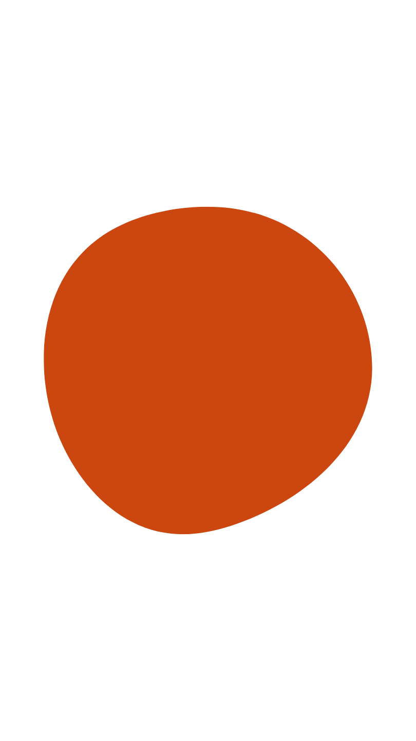 A large, orange-brown spherical object on a white background.