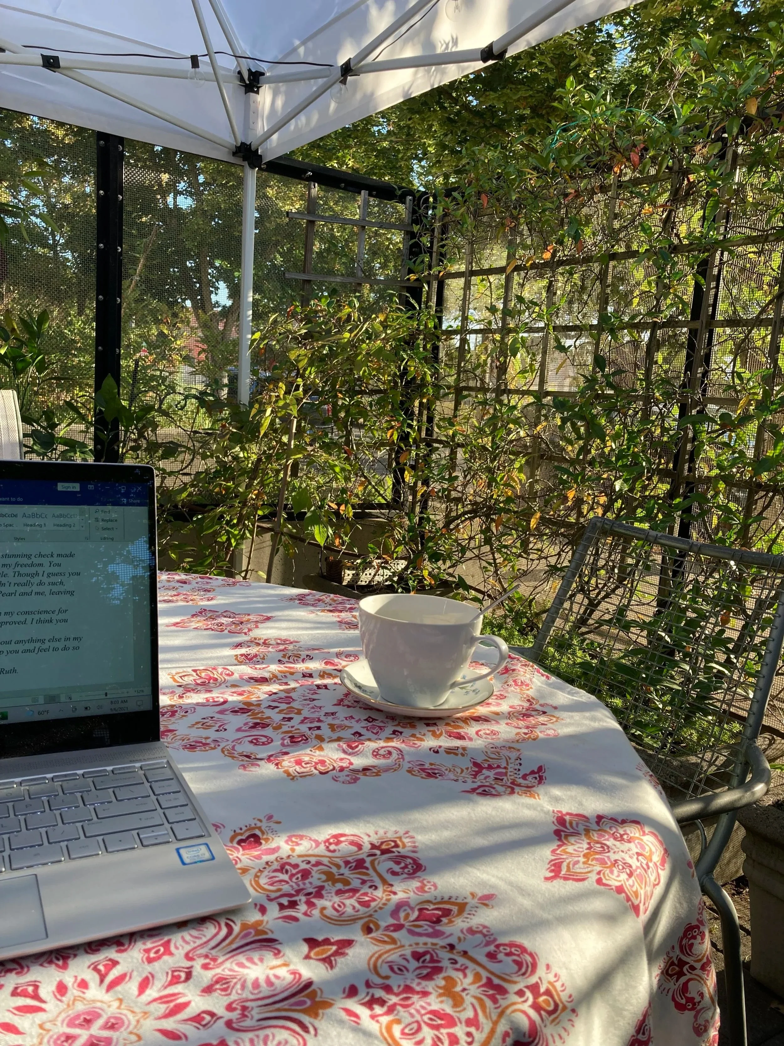 laptop, teacup, outdoors at table