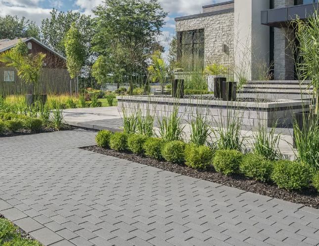 Screenshot (264).png