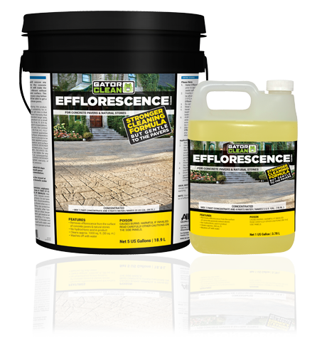 Gator Efflorescence Cleaner