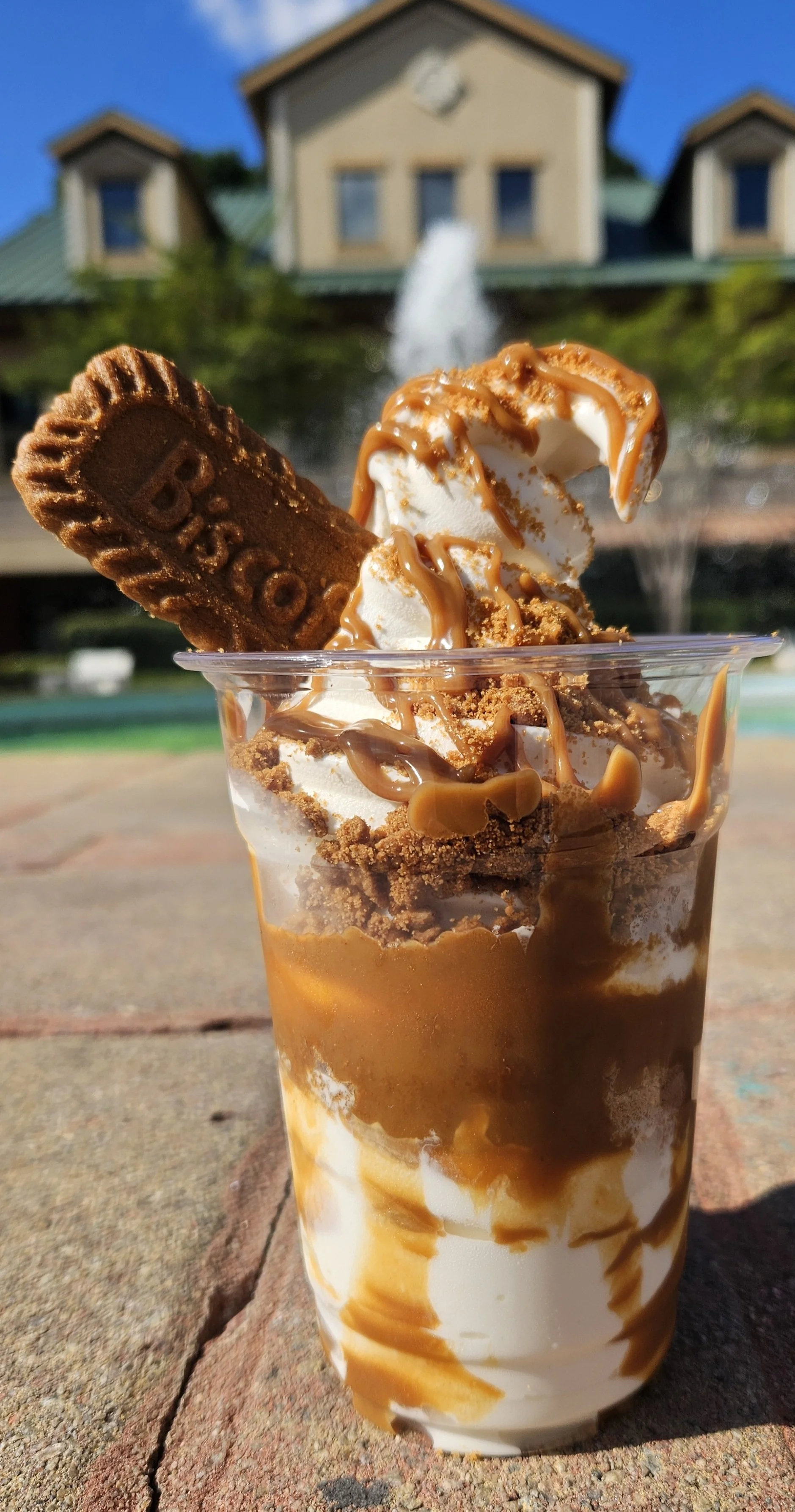 An ice scream sundae