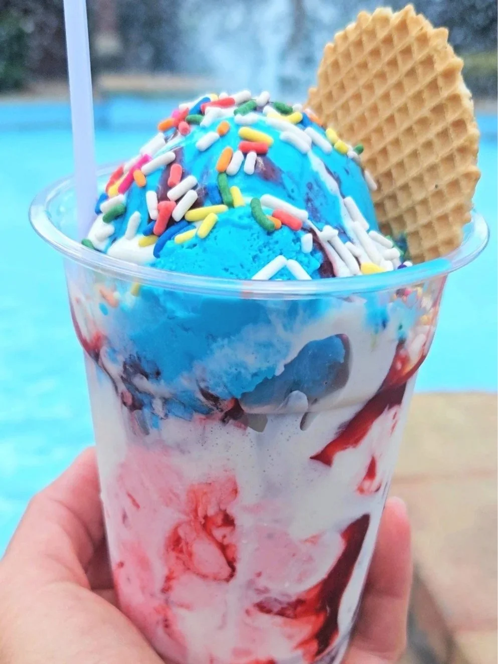 An ice scream sundae