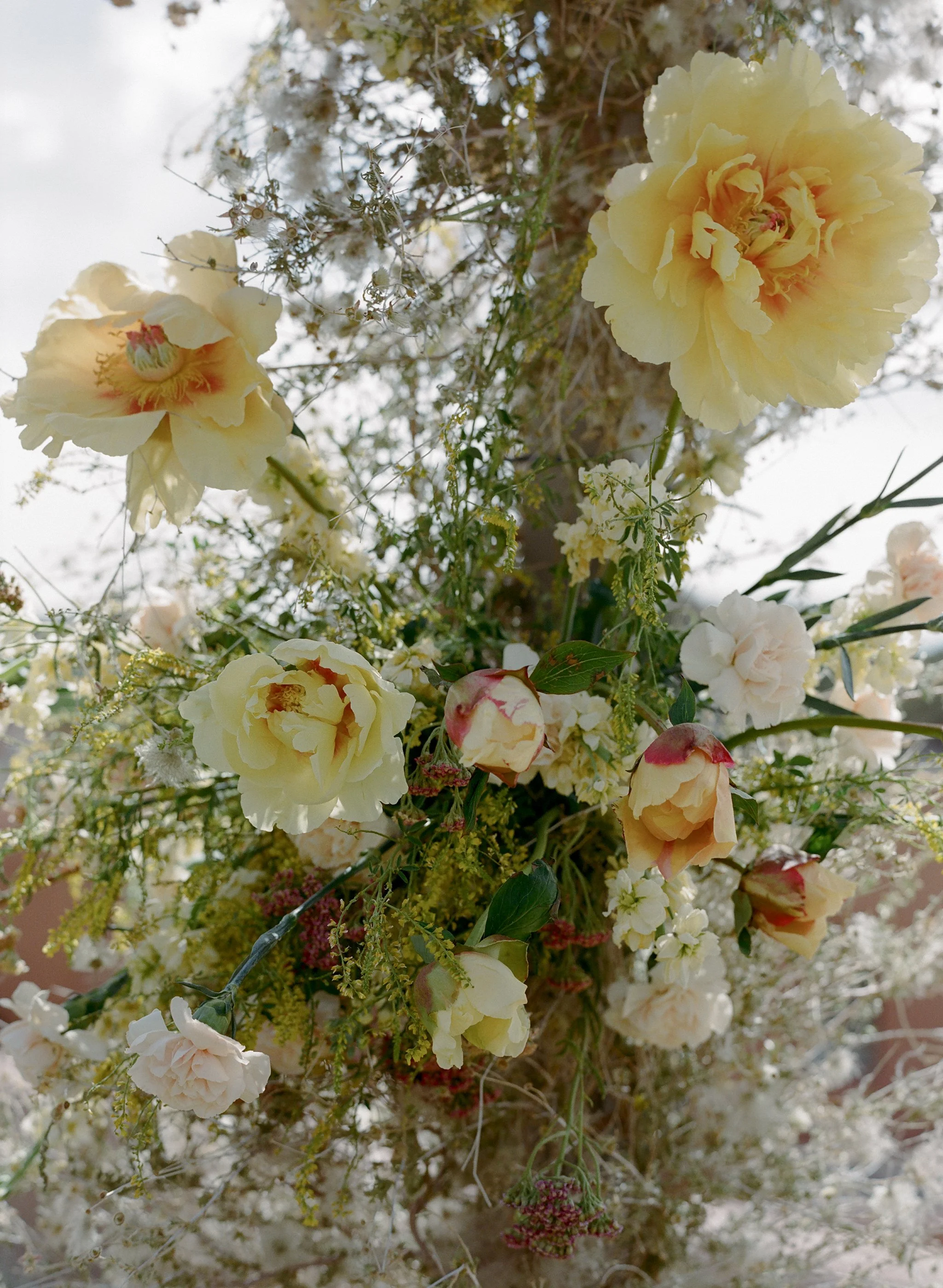 bishop's lodge wedding