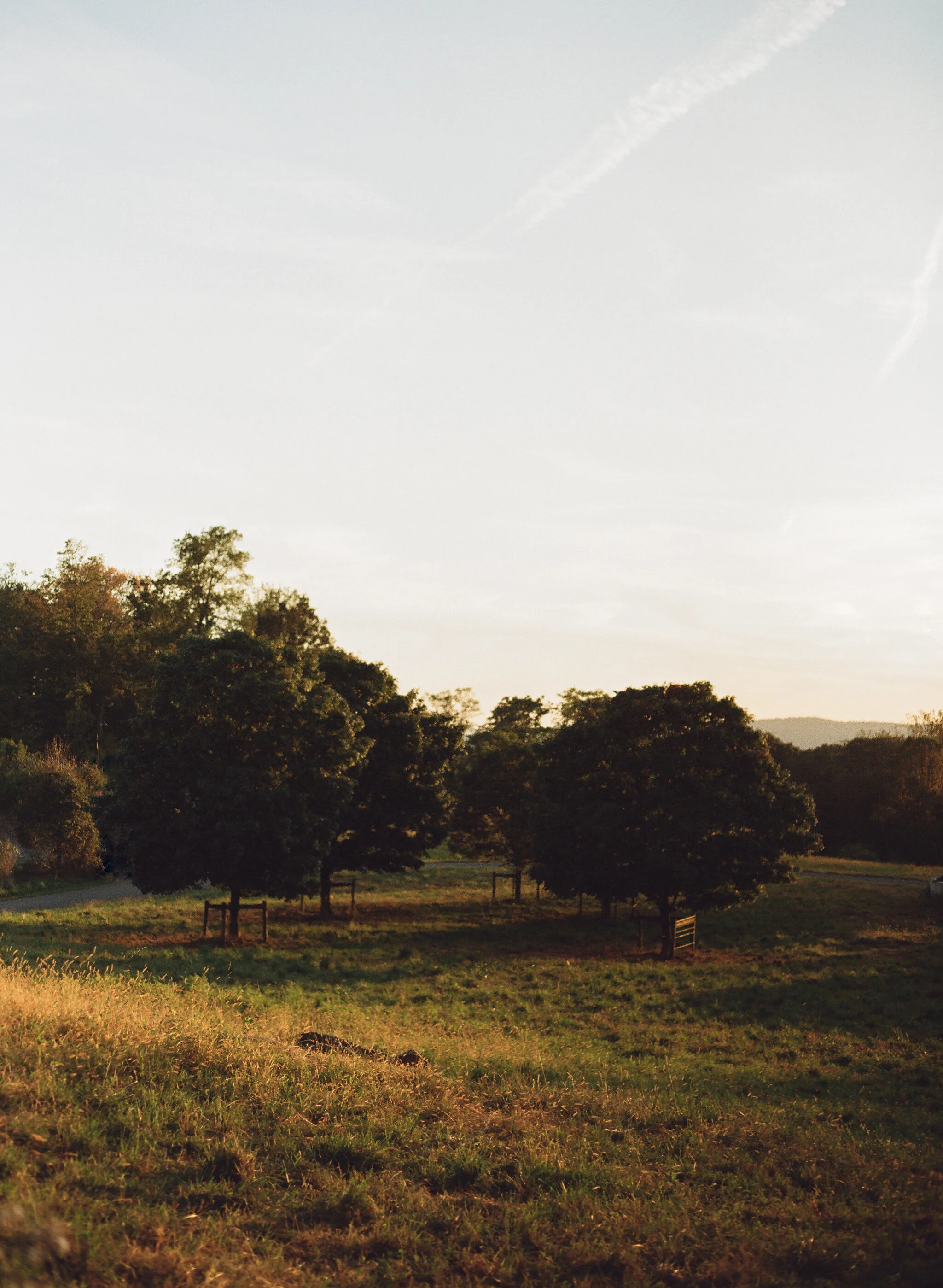 blue-hill-at-stone-barns-wedding_32.JPG