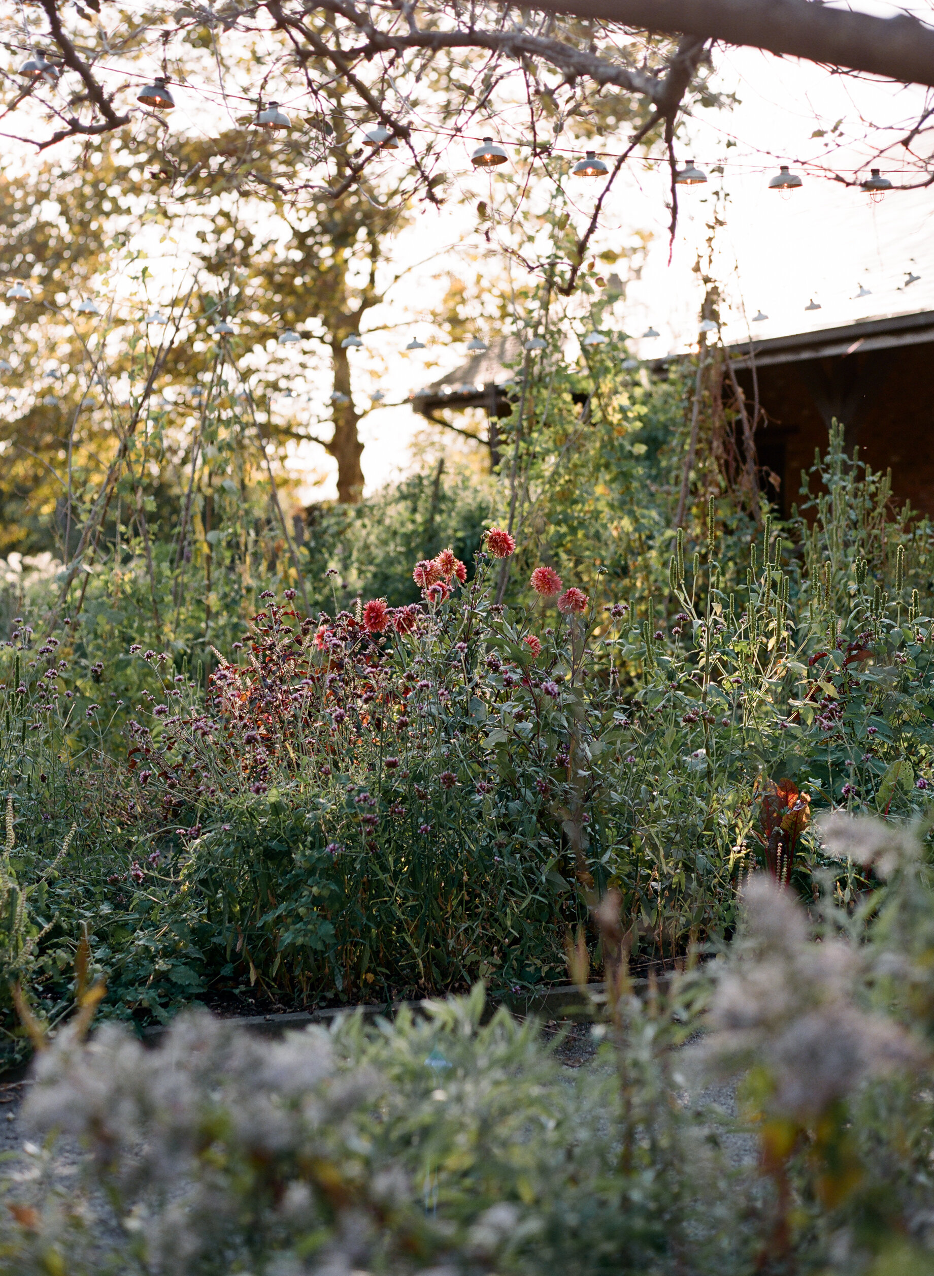 blue-hill-at-stone-barns-wedding_36.JPG