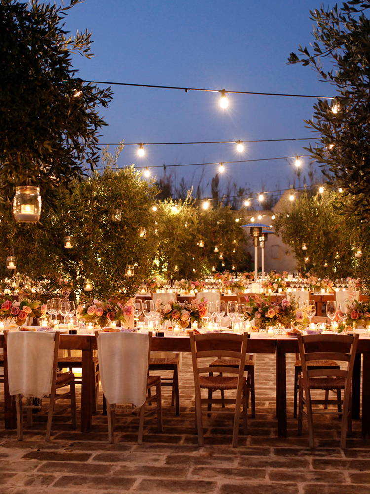 In the Olive Grove