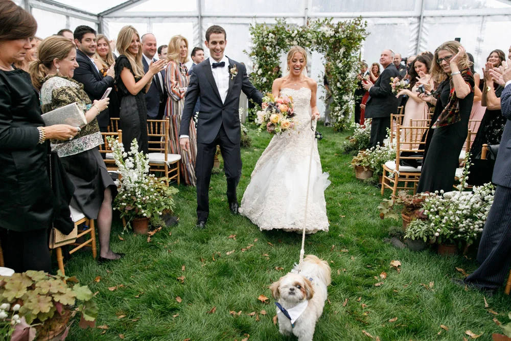 alison_bryan_fall_harvest_ann_arbor.16.jpg