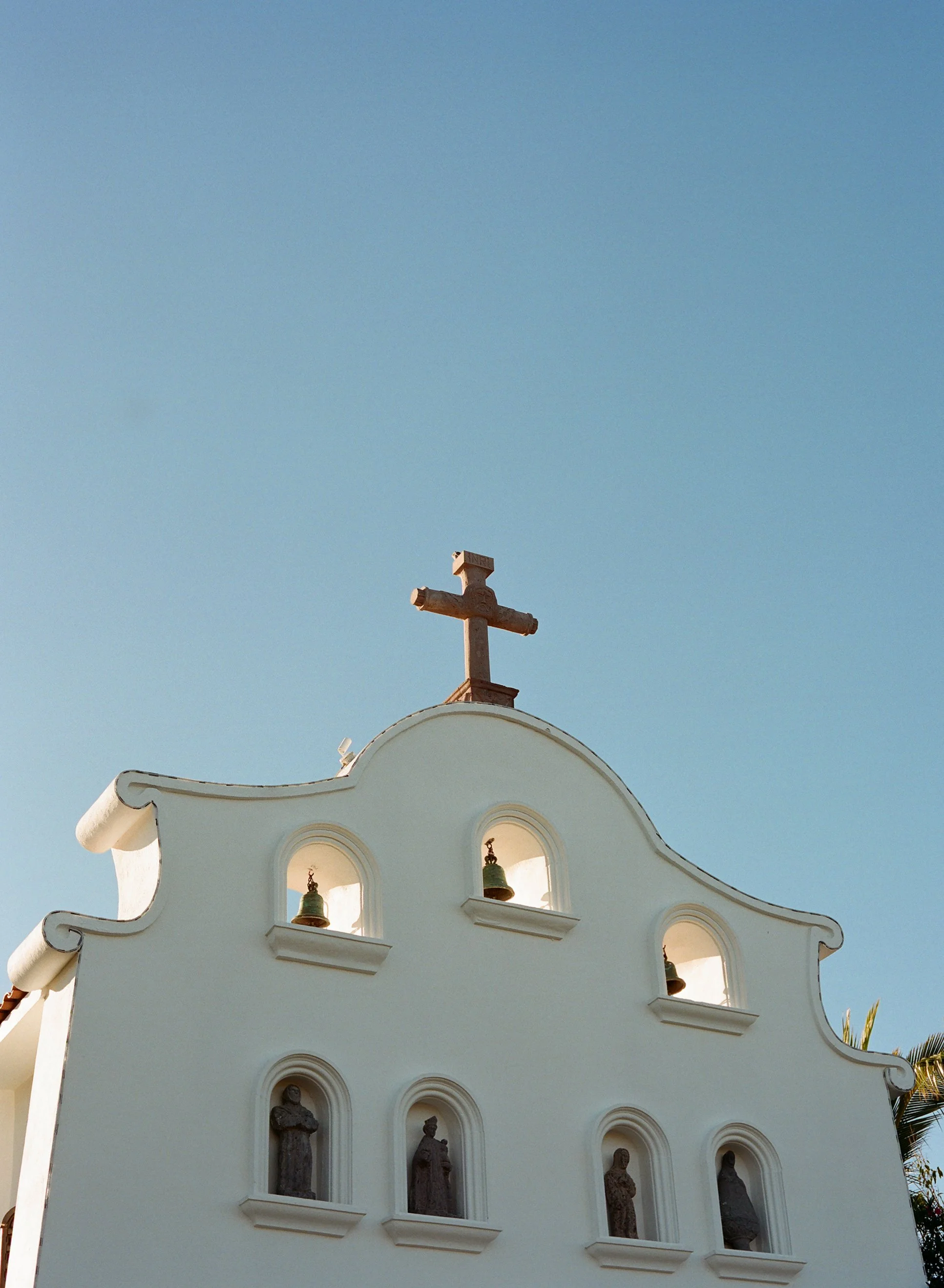 one and only palmilla wedding