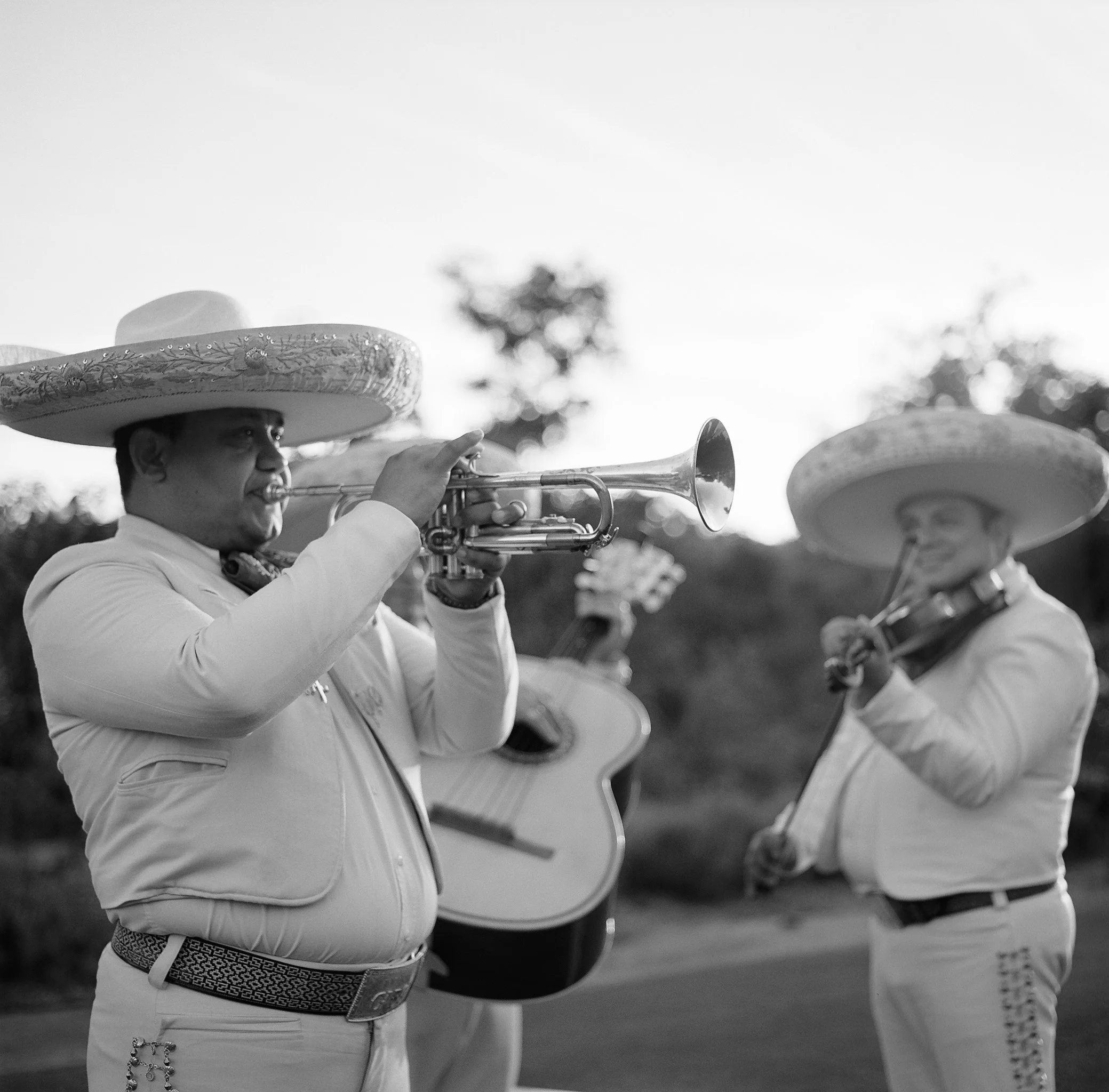 one and only palmilla wedding