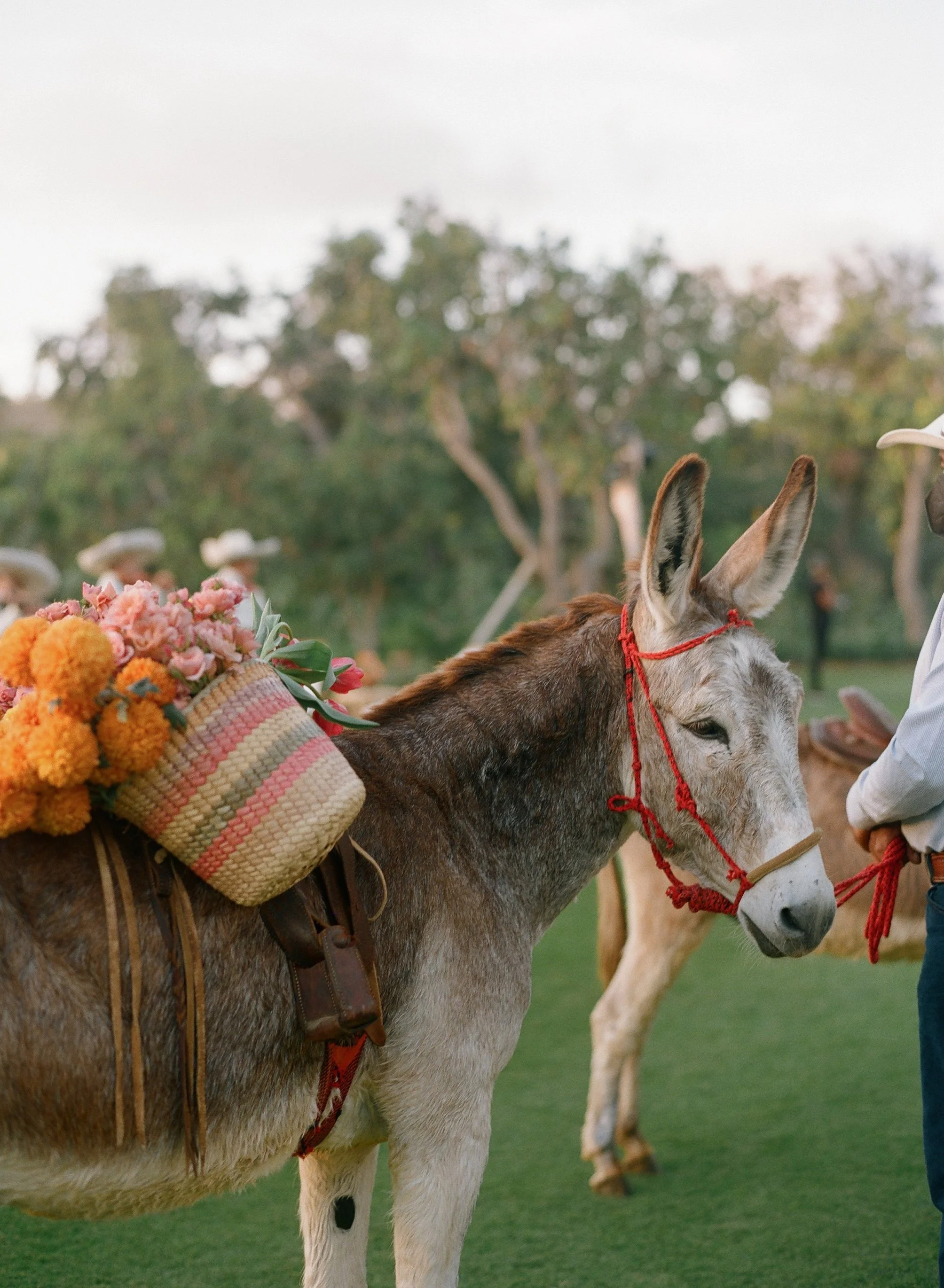 Flora-farms-wedding-los-cabos-48.jpg
