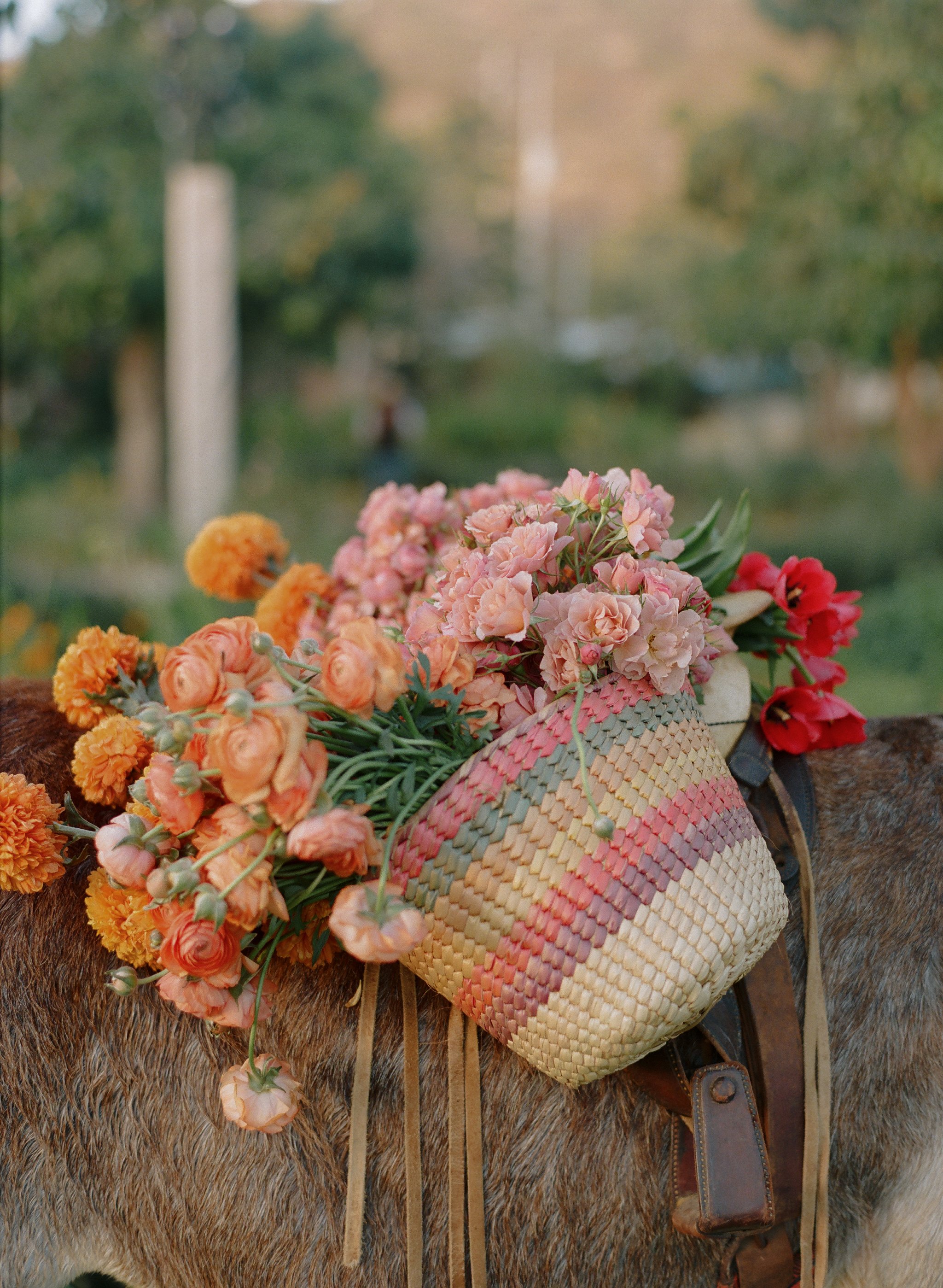 Flora-farms-wedding-los-cabos-45.JPG