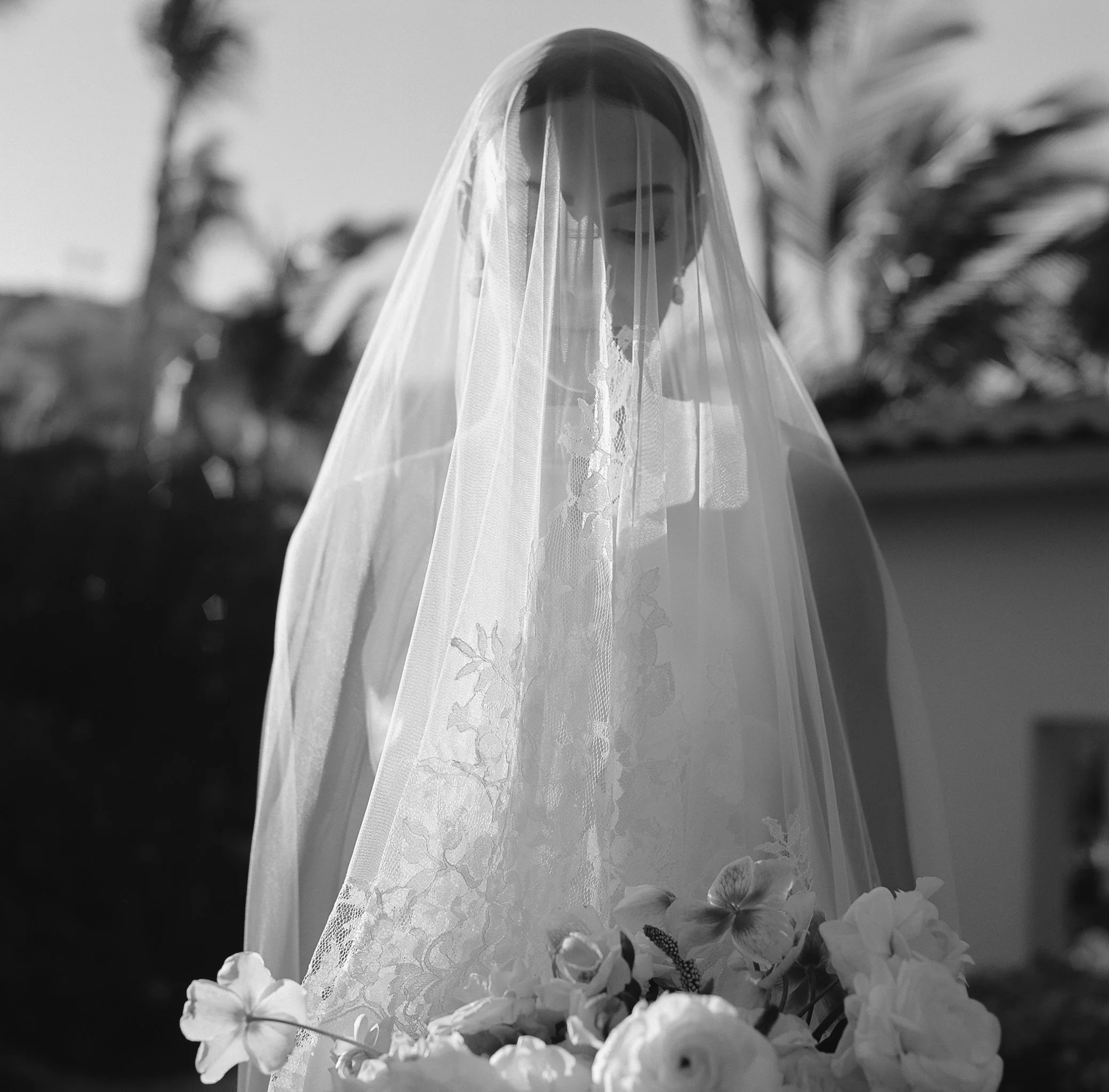 one and only palmilla wedding