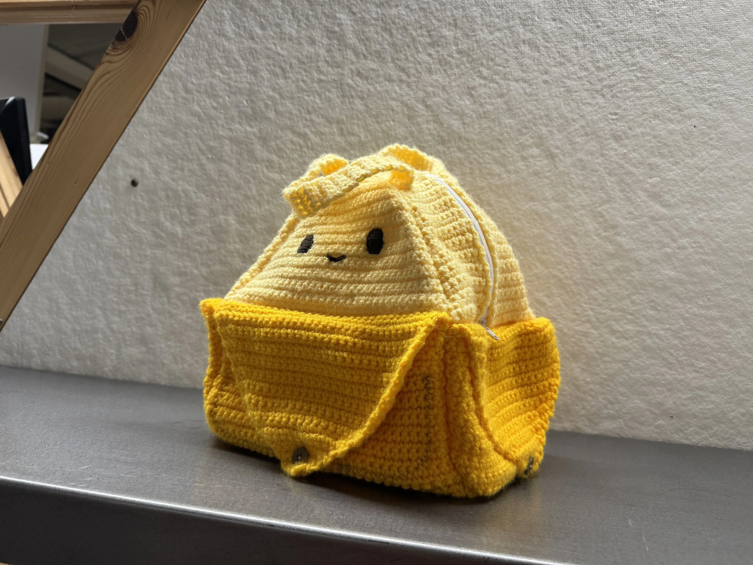 User Focus Food Carrier Project