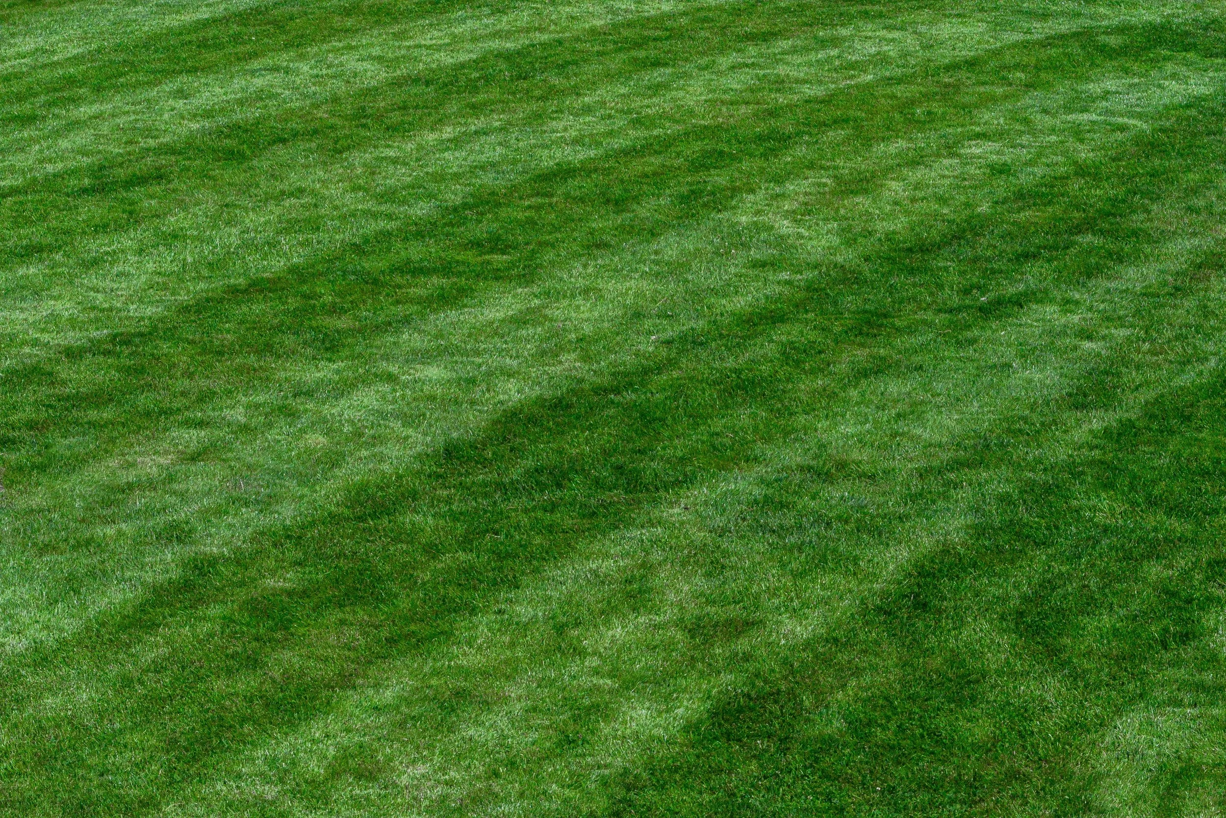 Bright green, well-maintained grass with visible mowing lines.