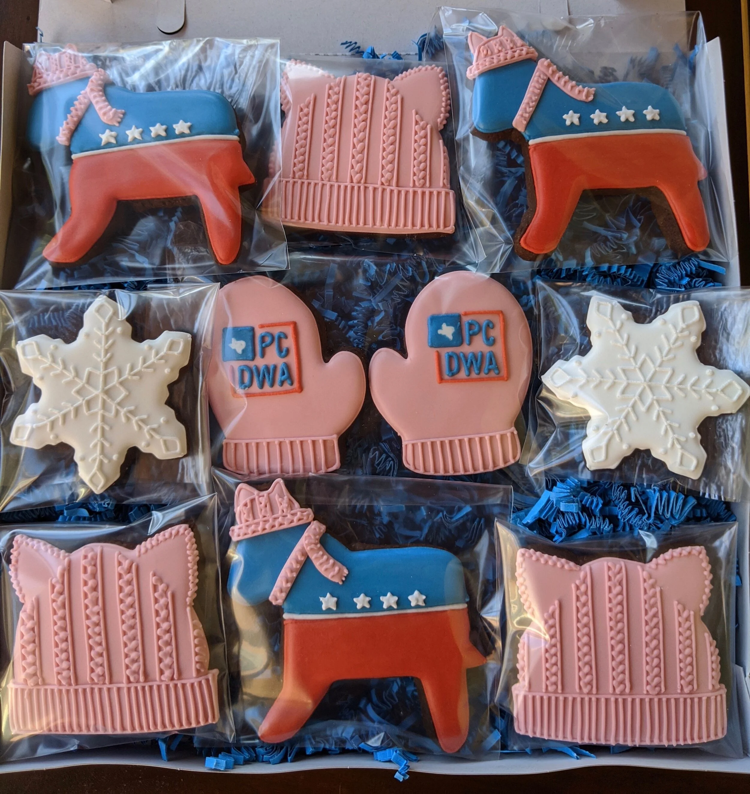 New Year's Plans at PCDWA!