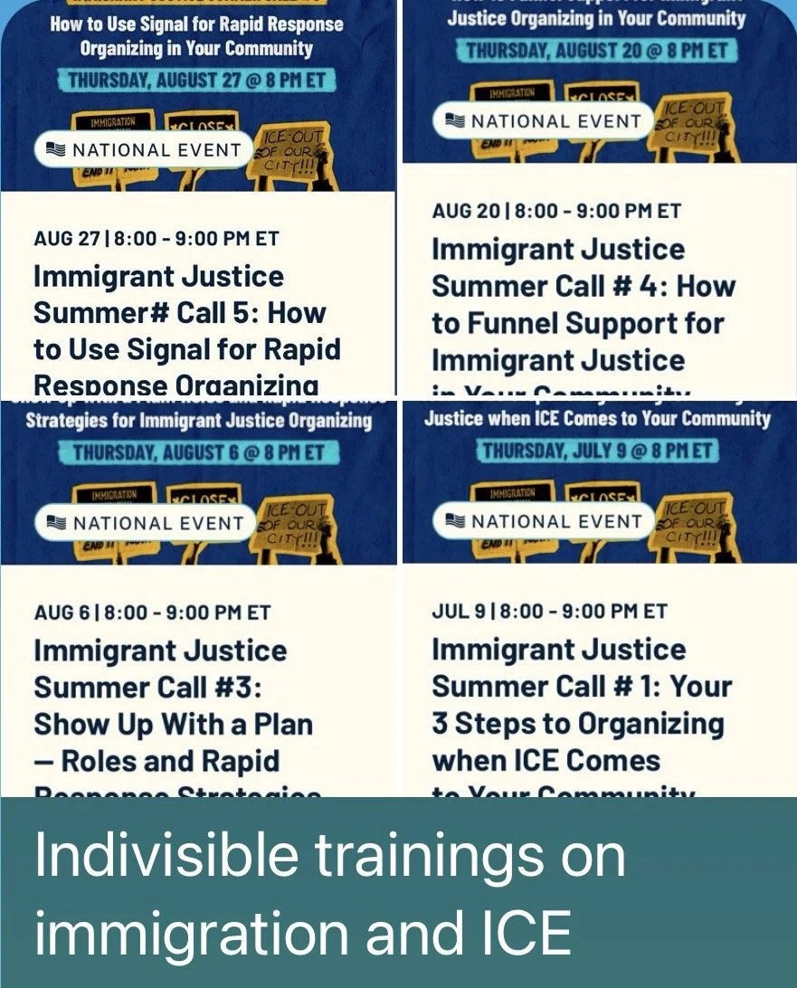 Immigrant Justice Summer - Indivisible