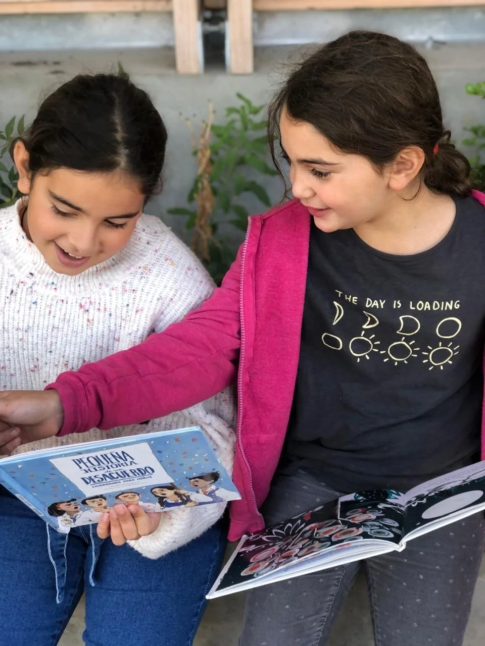 Programas de lectura