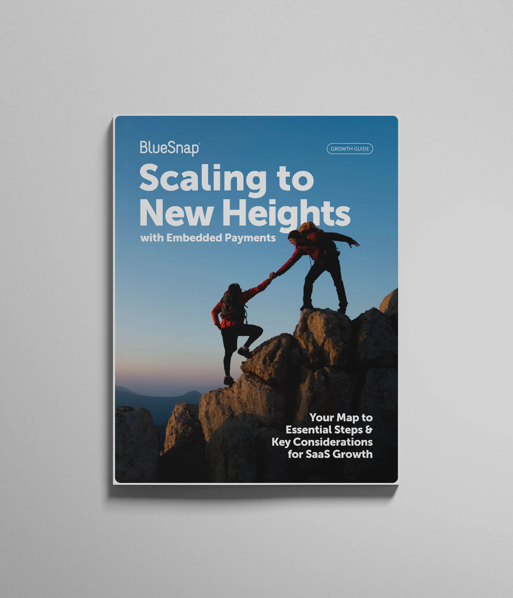 ScalingToNewHeightsCampaign_GuideCover.jpg