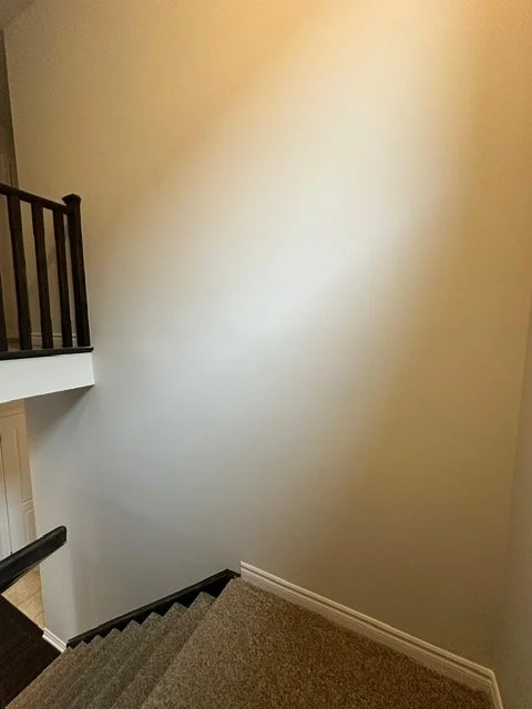 A staircase with carpeted steps and a dark wooden handrail, leading down to a lower level with a beige wall and a railing visible at the top of the stairs.