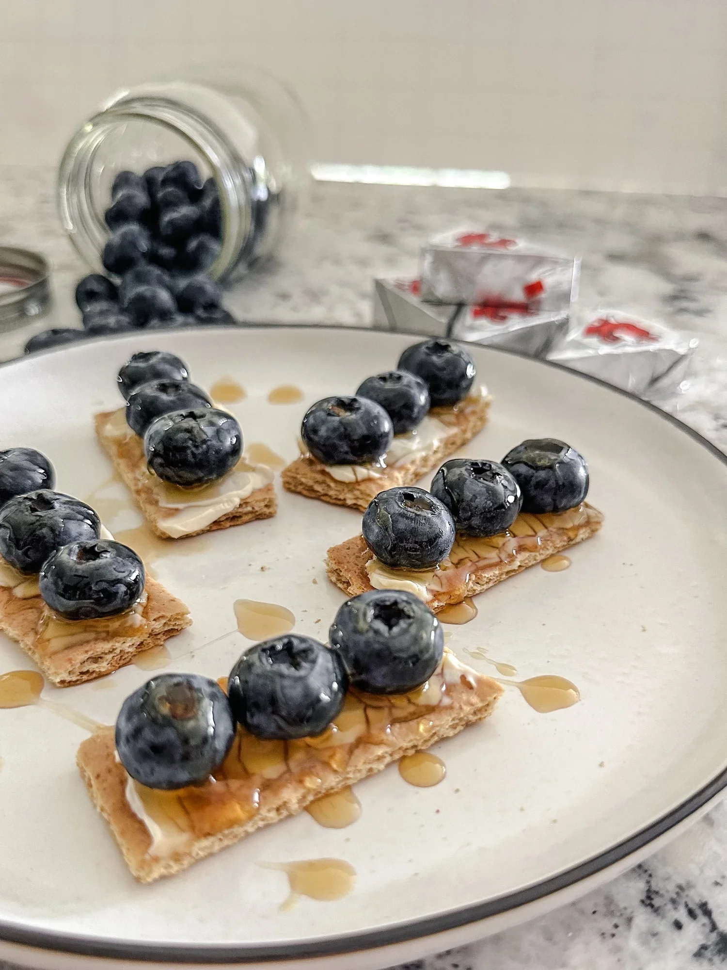 Blueberry Honey Graham Bites