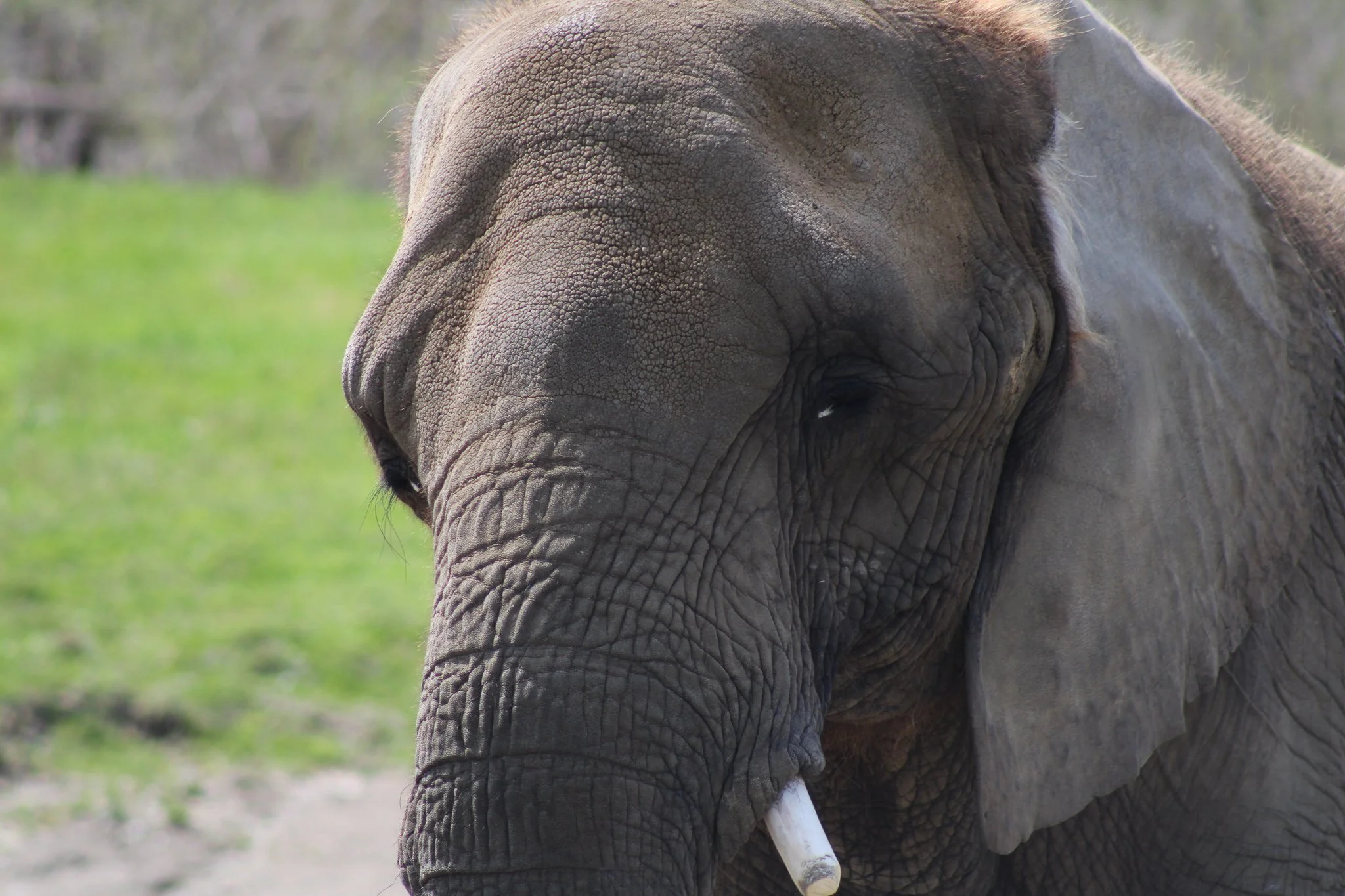 zoo field trip 3.31_0185.jpg