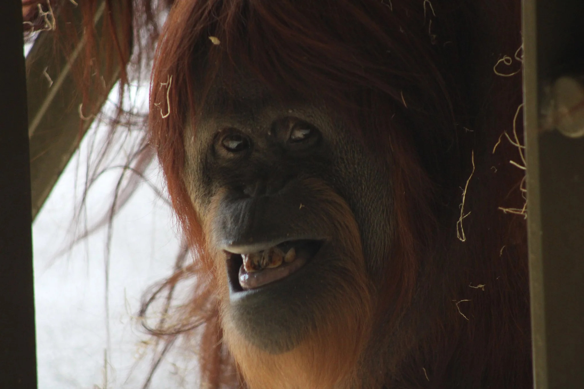 zoo field trip 3.31_0079.jpg