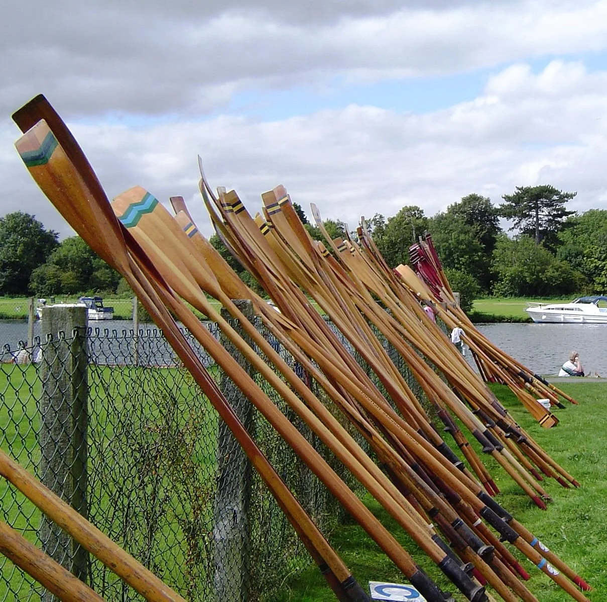 Oars in the Water