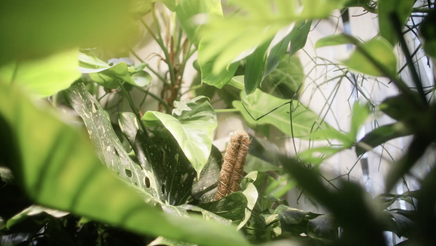 Screenshot 2026-04-08 at 5.39.27 PM.png