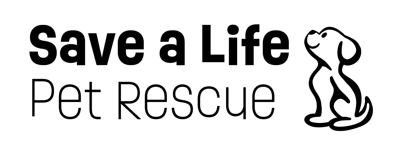 Screenshot 2025-03-12 at 12.12.34 PM.png