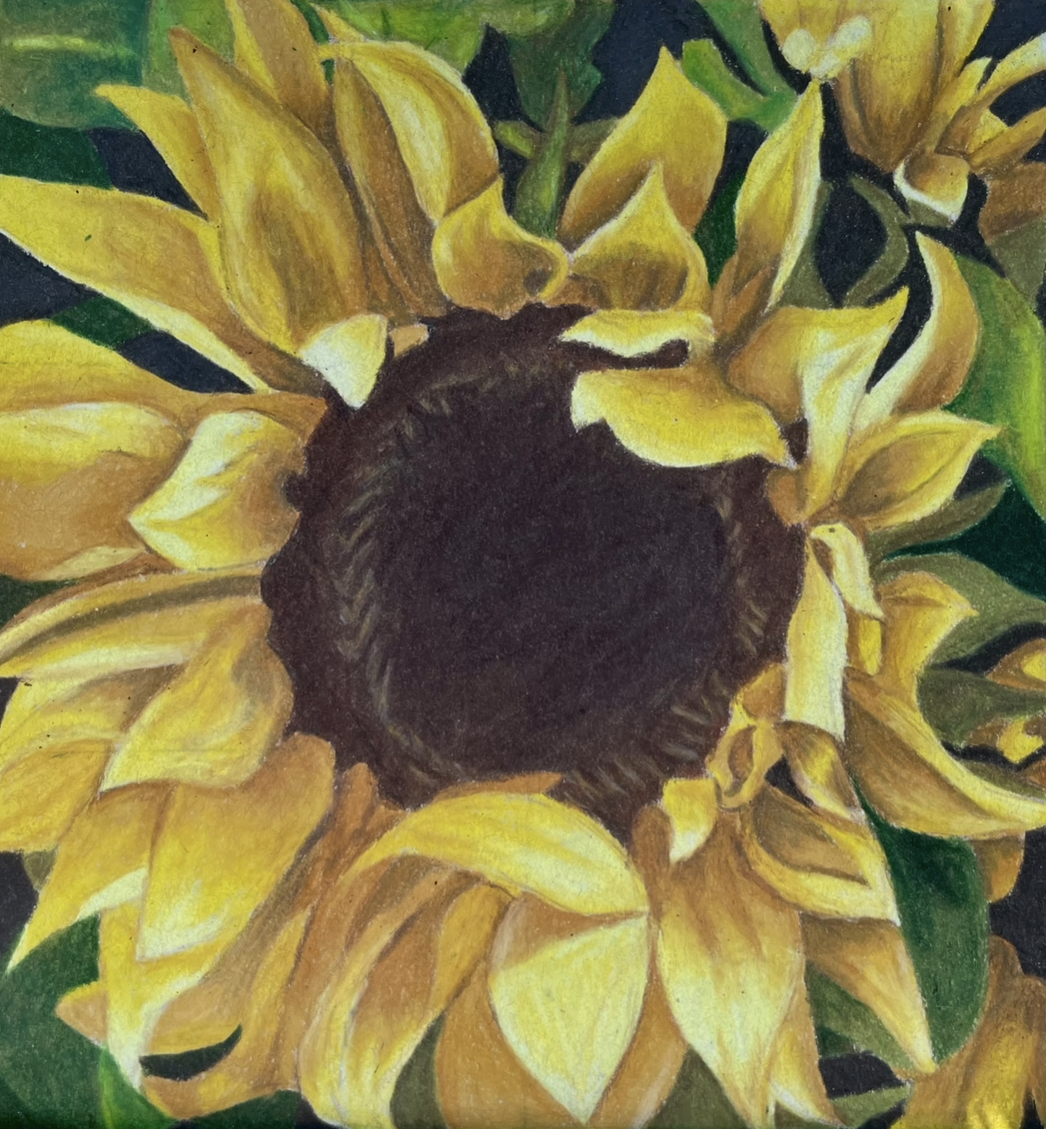 View recent photos 2.png