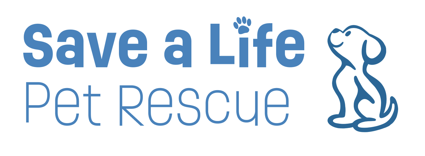 Screenshot 2025-03-12 at 12.13.42 PM.png