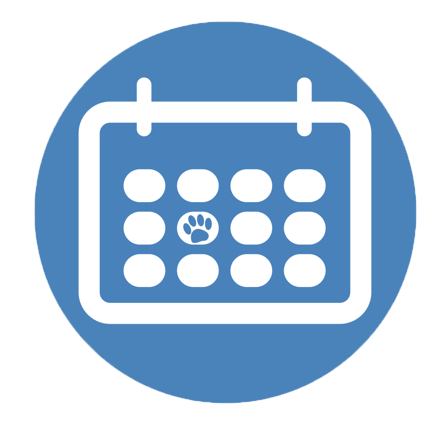 Screenshot 2025-03-13 at 2.28.02 PM.png