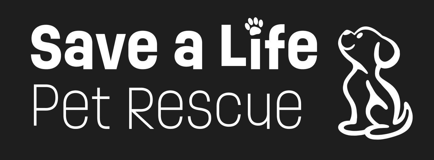 Screenshot 2025-03-12 at 12.12.42 PM.png