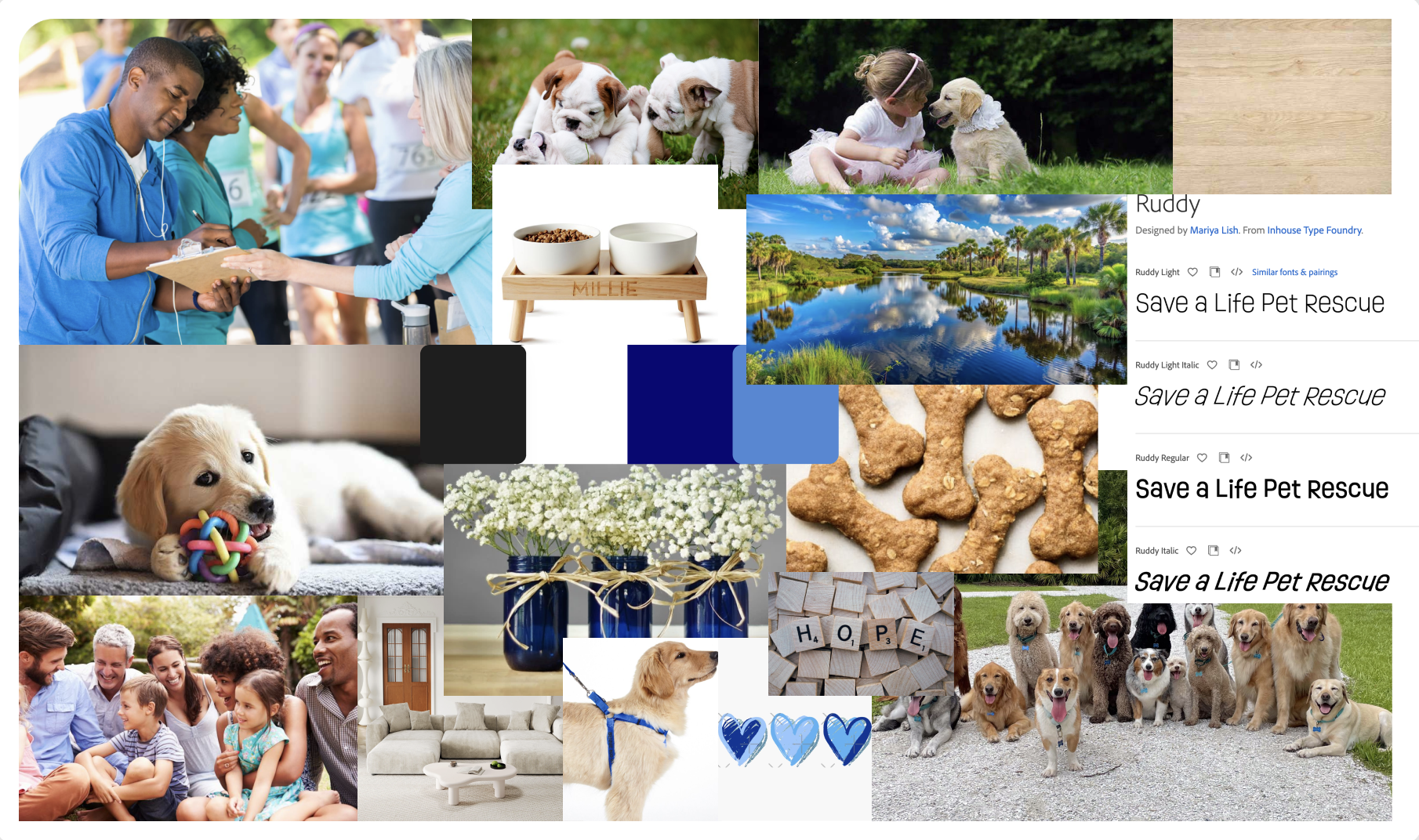 Screenshot 2025-03-11 at 5.29.01 PM.png